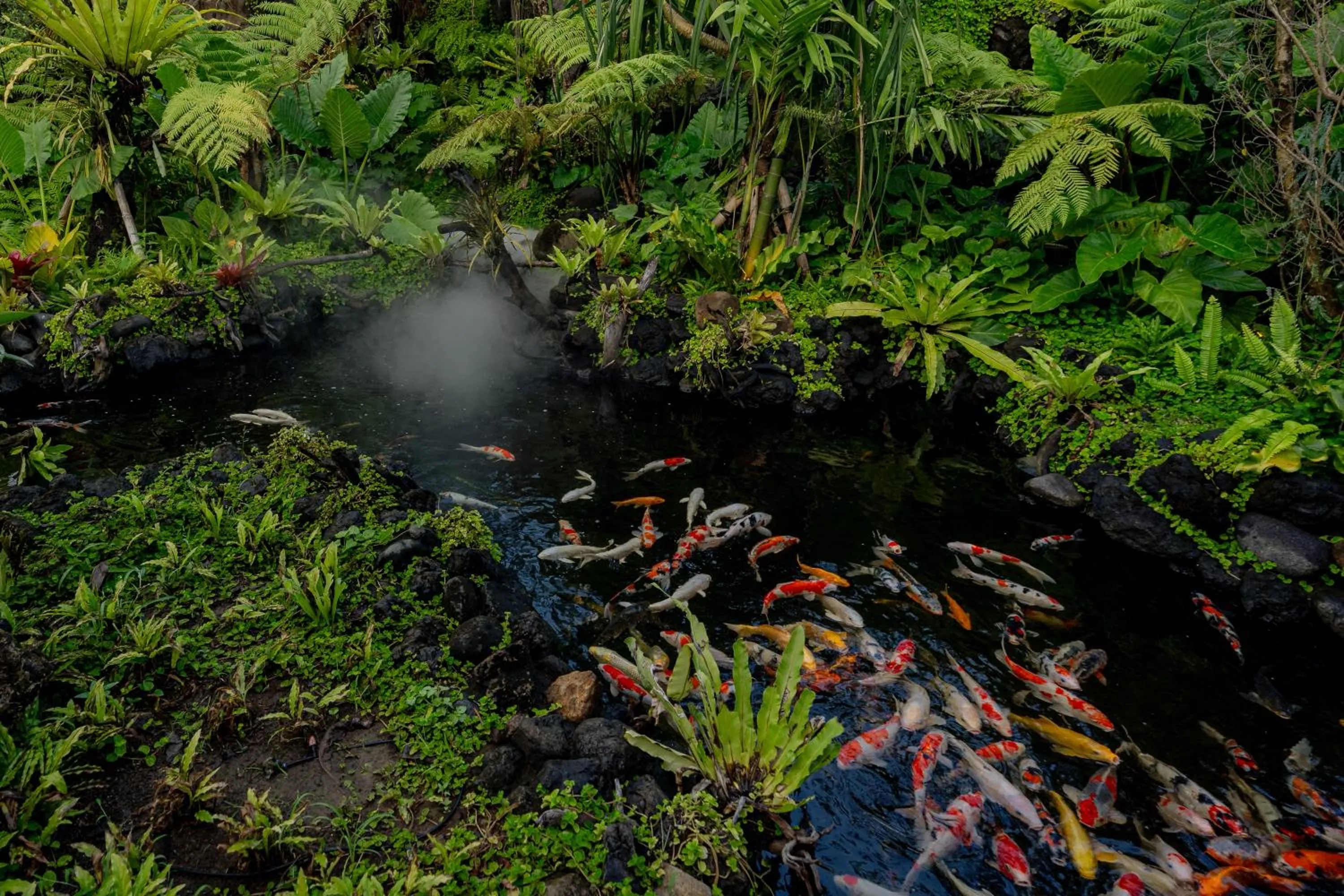 Restaurant/places to eat in E Sanctuary Resort Ubud