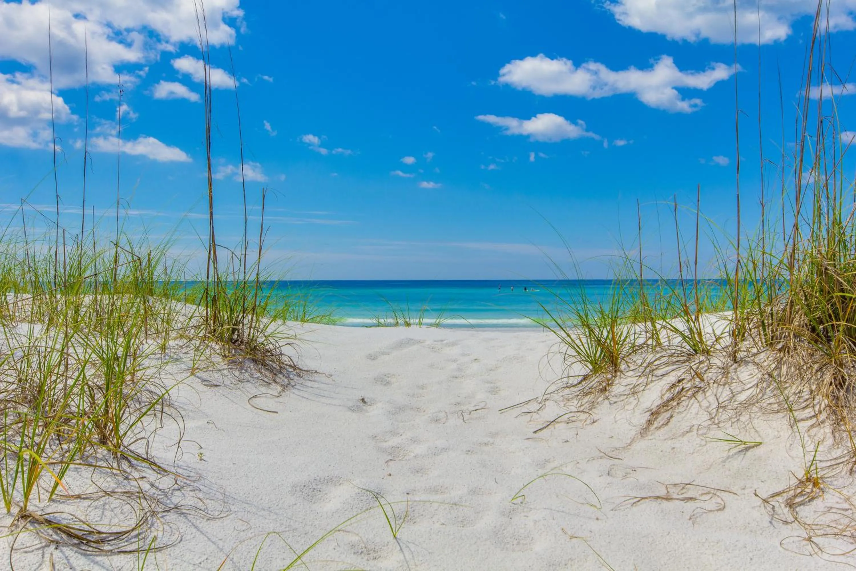 Escape to Sand Dollar Holler: Coastal Retreat, 3 Beds, 25 Baths, Sleeps 10!