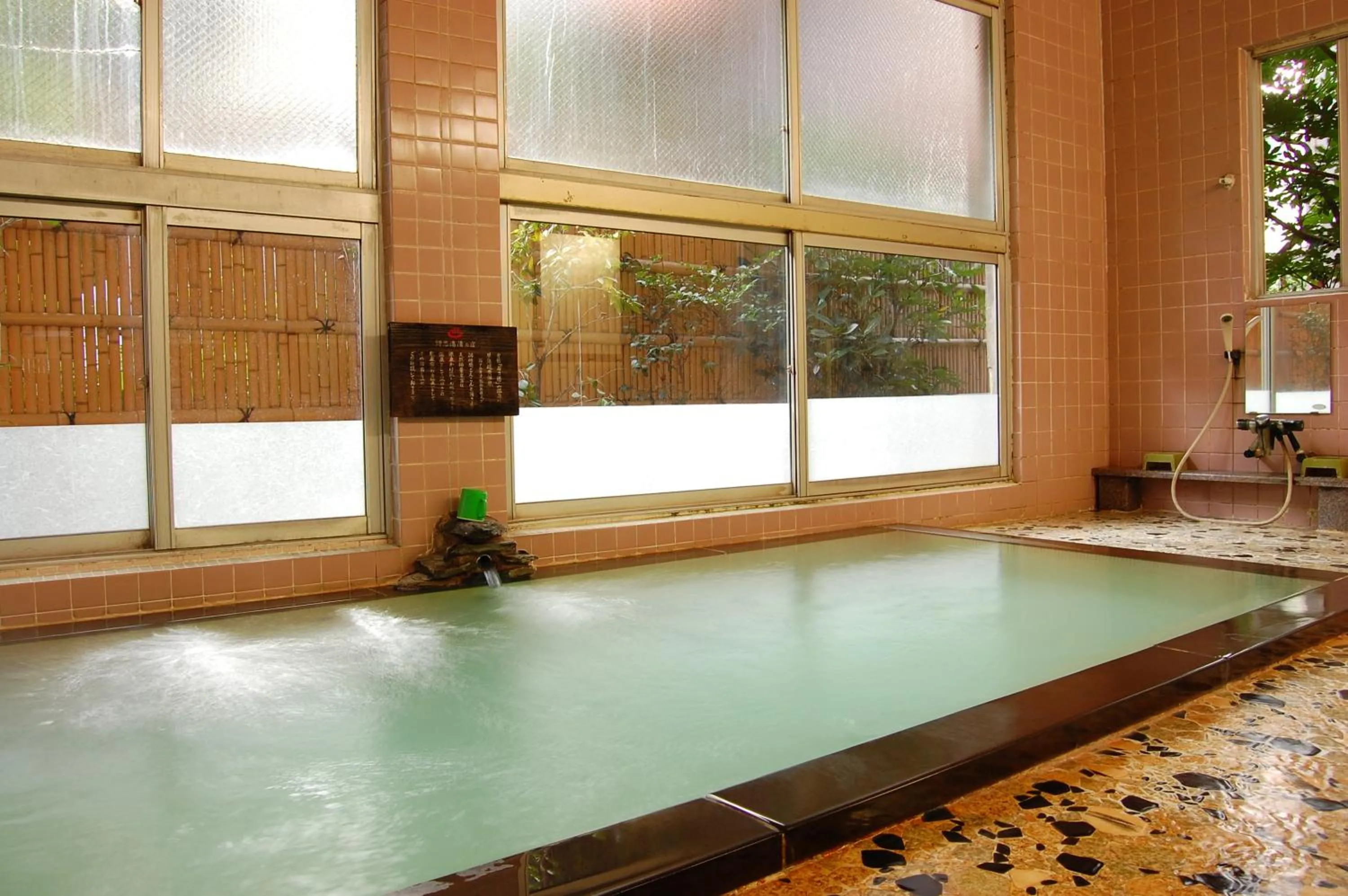 Hot Spring Bath in Wakanoyu