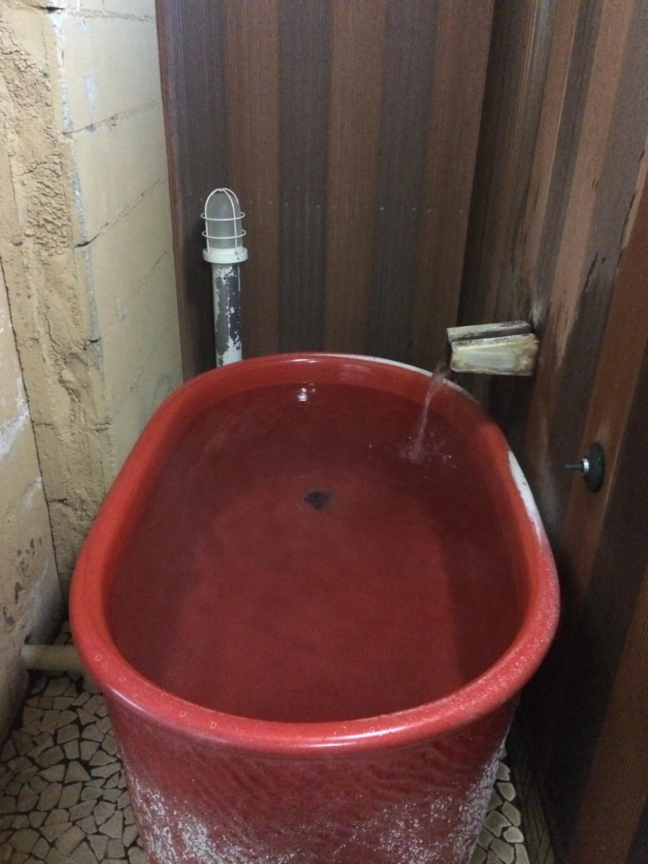 Hot Spring Bath in Wakanoyu