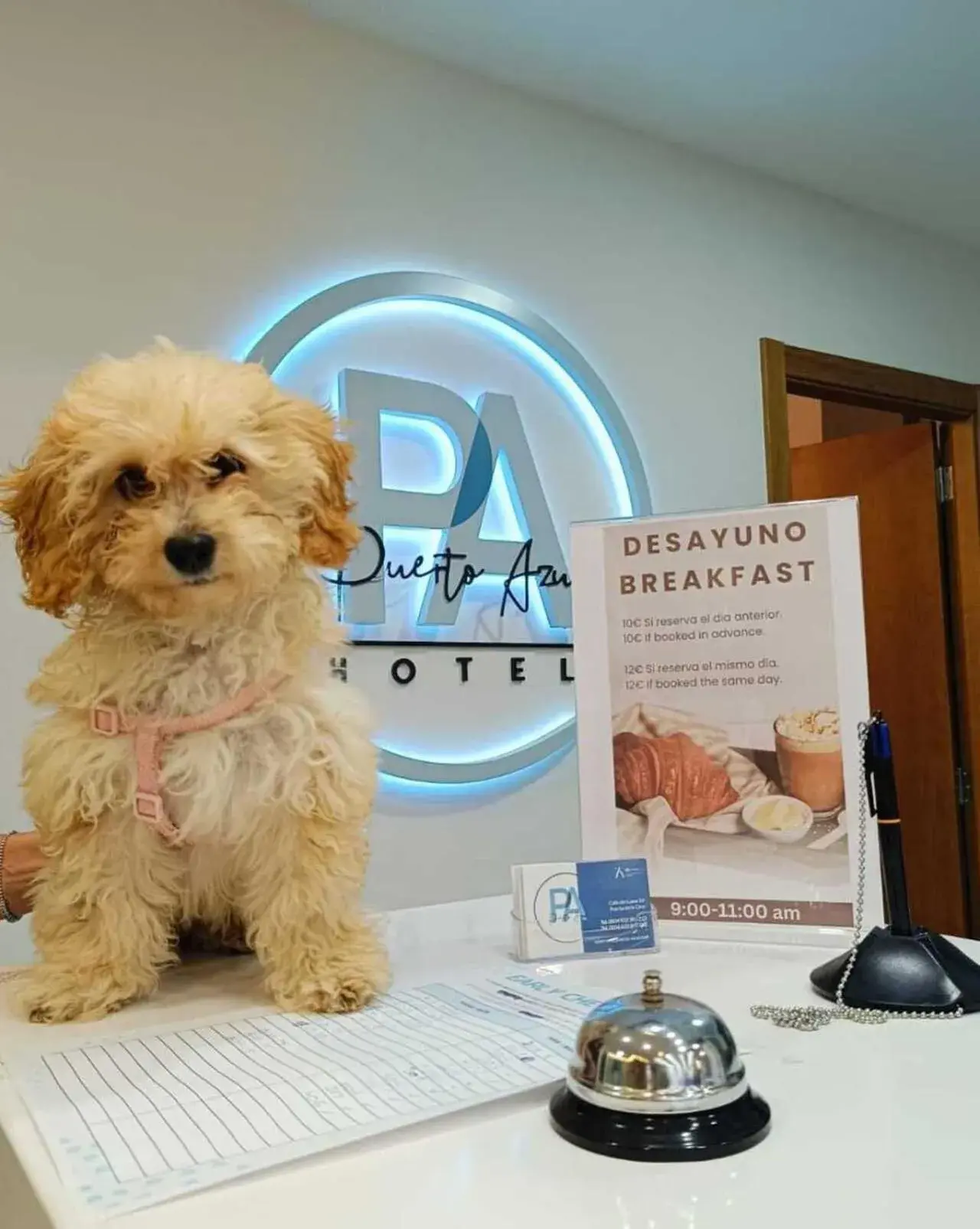 Puerto Azul Puerto Azul