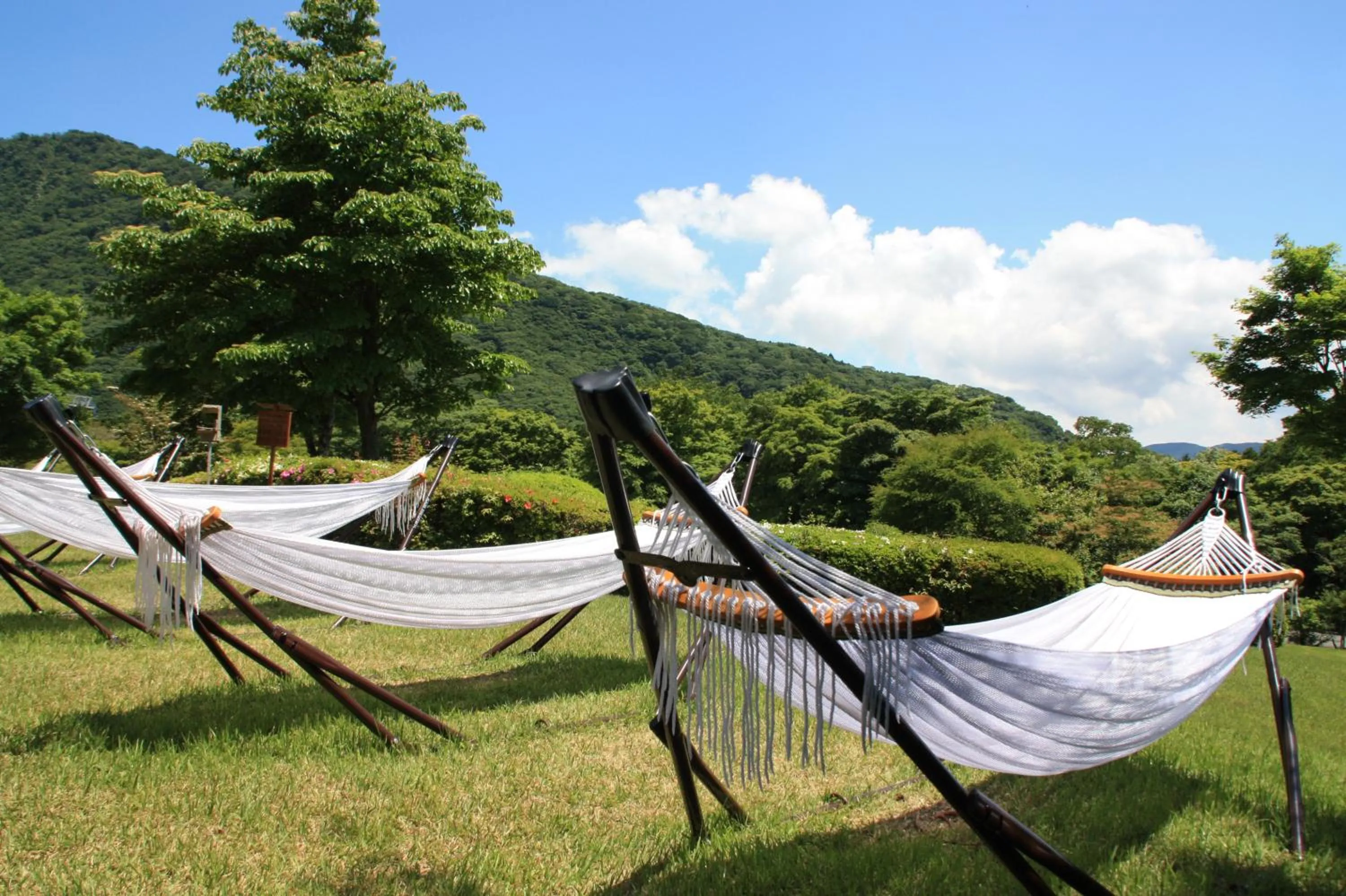 Garden in Hakone Lake Hotel