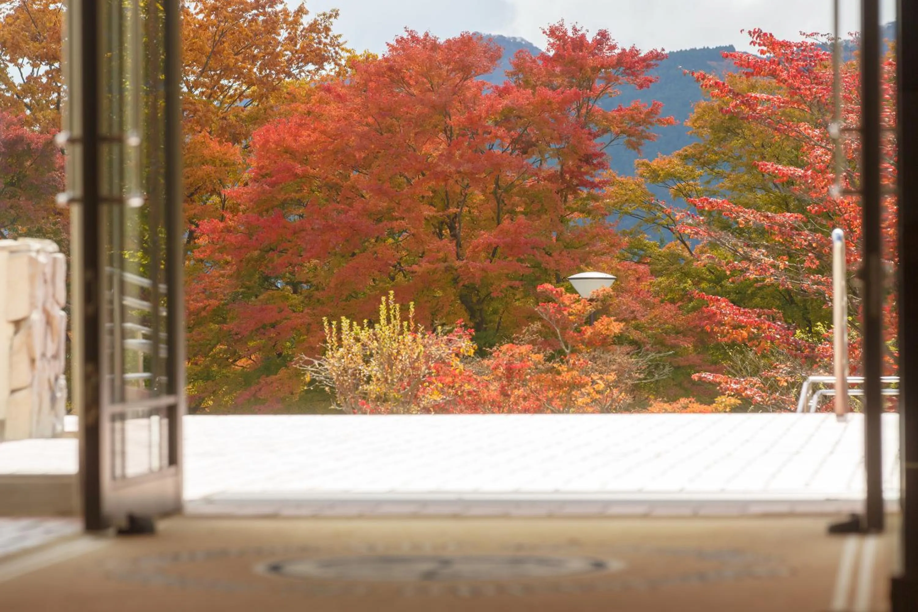 Autumn in Hakone Lake Hotel