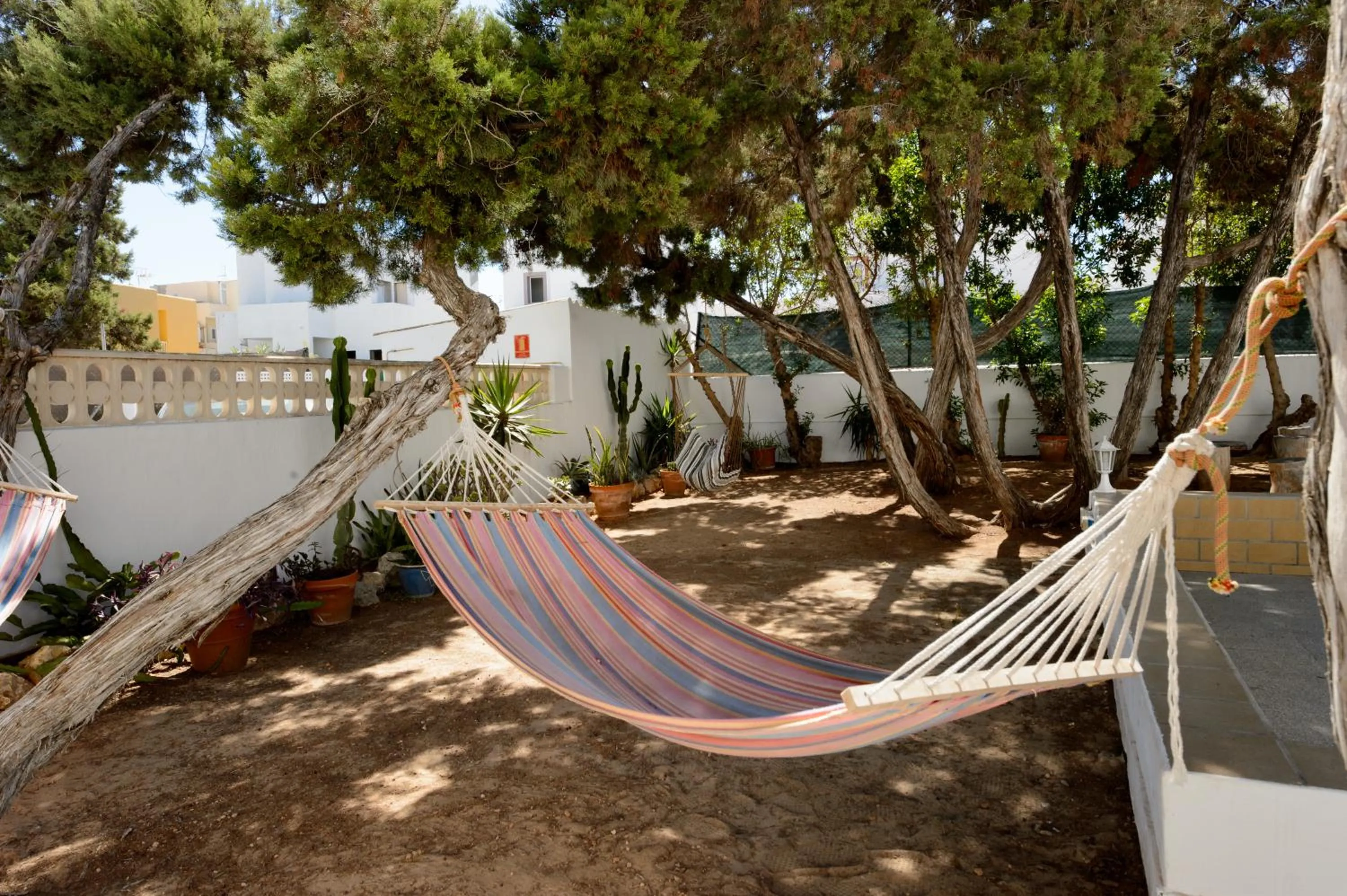 Garden in Apartamentos San Antonio Beach