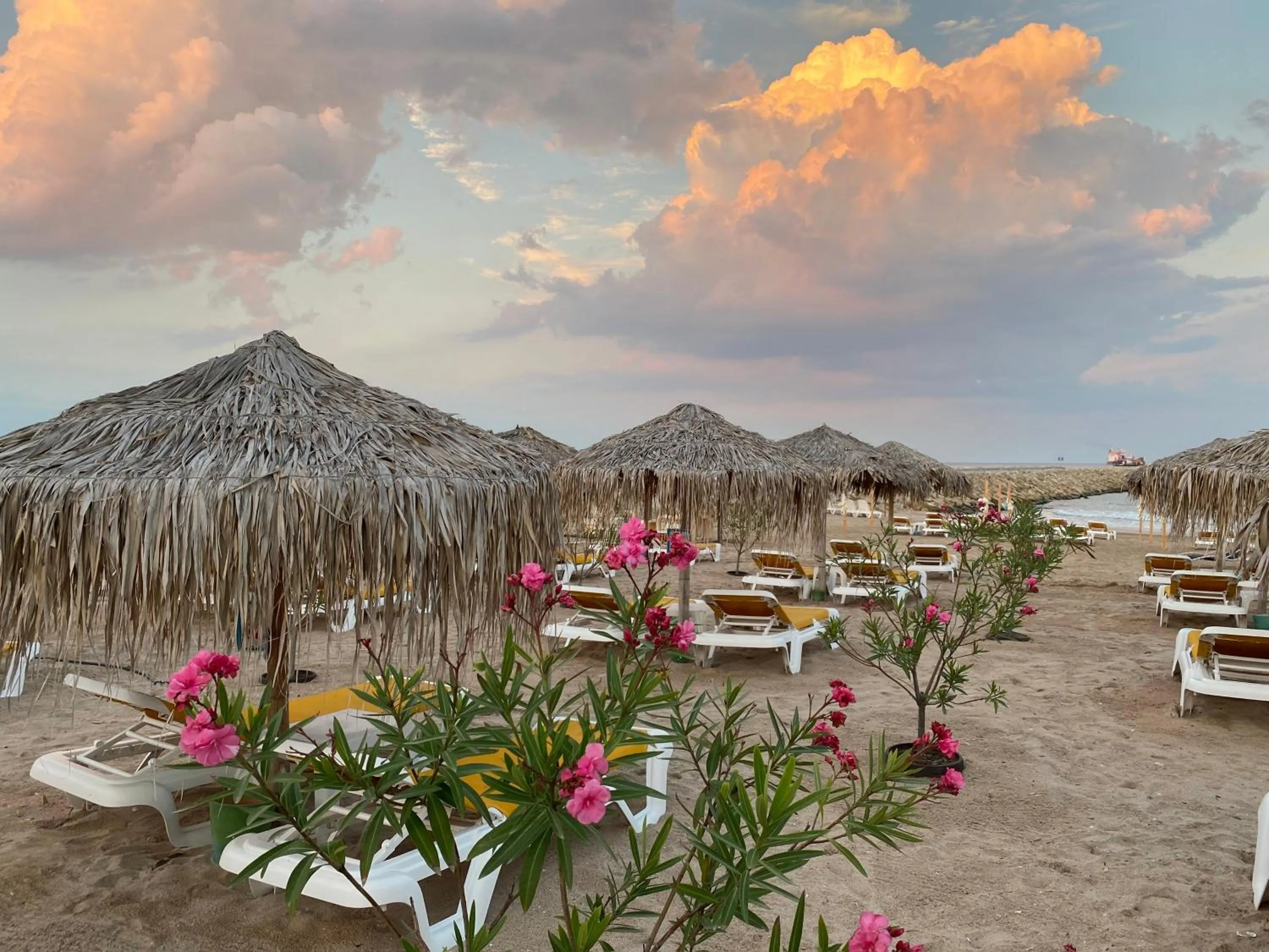 Day in Boutique Citadel