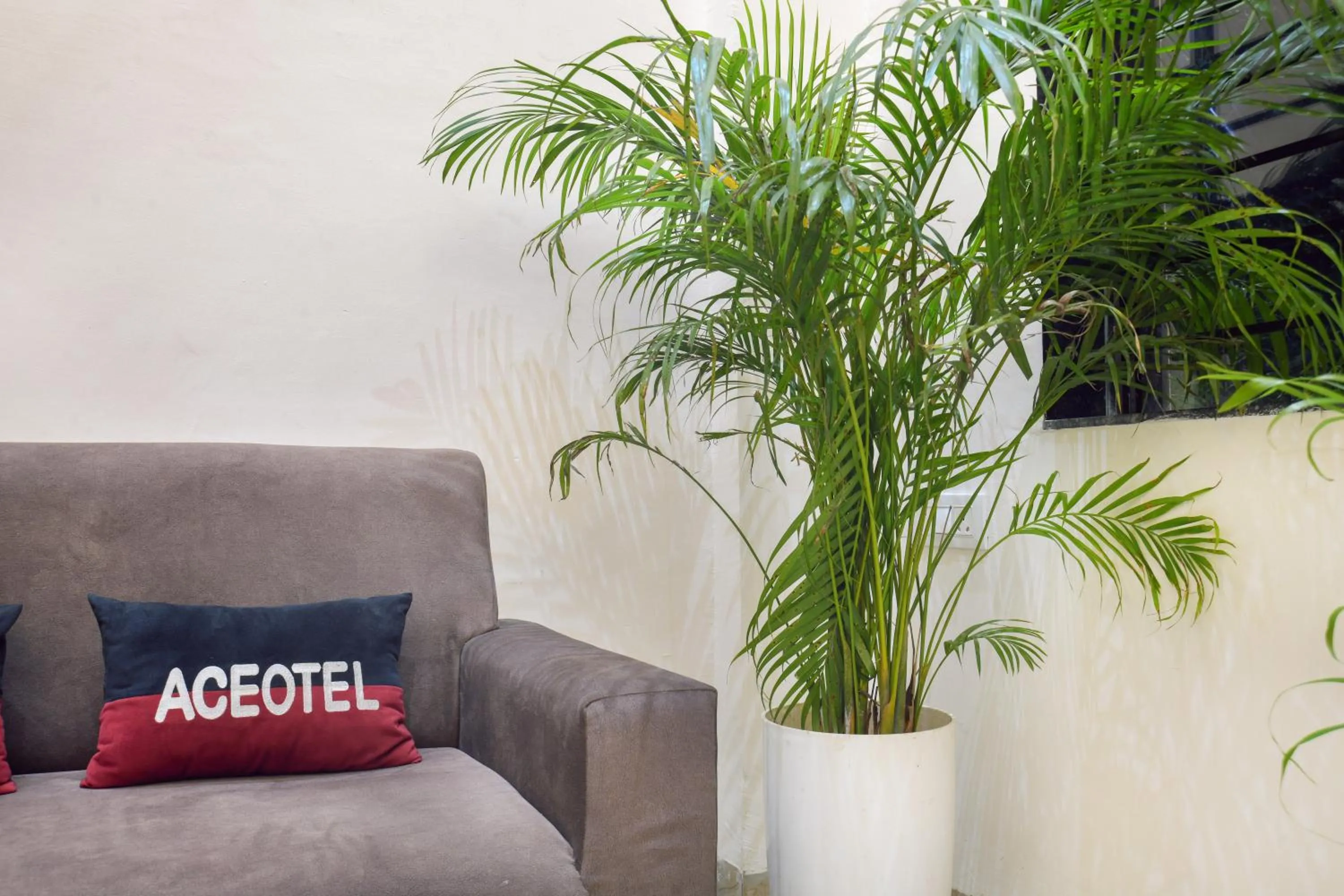 Aceotel Inn, Vijay Nagar