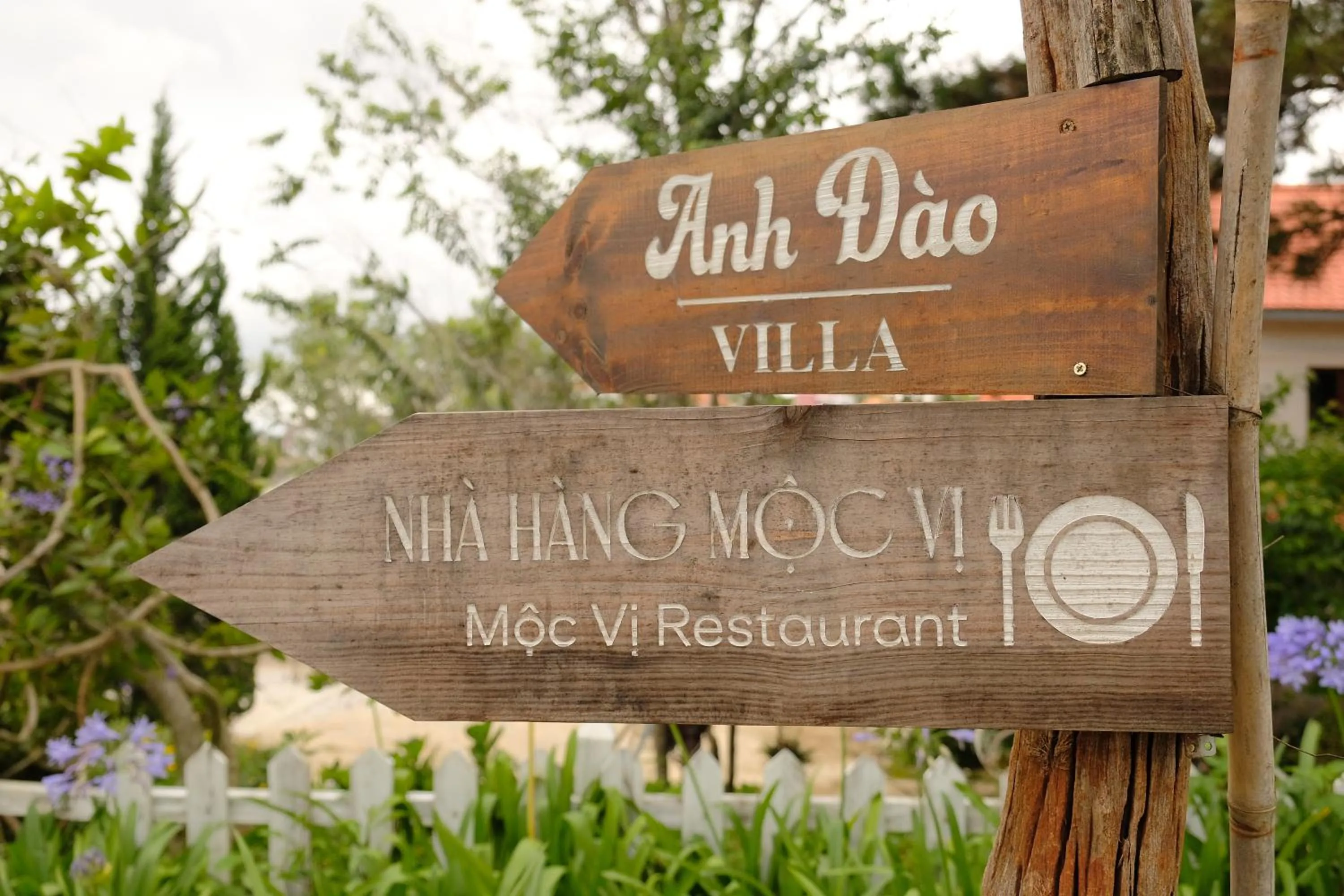 Day in Dalat Train Village