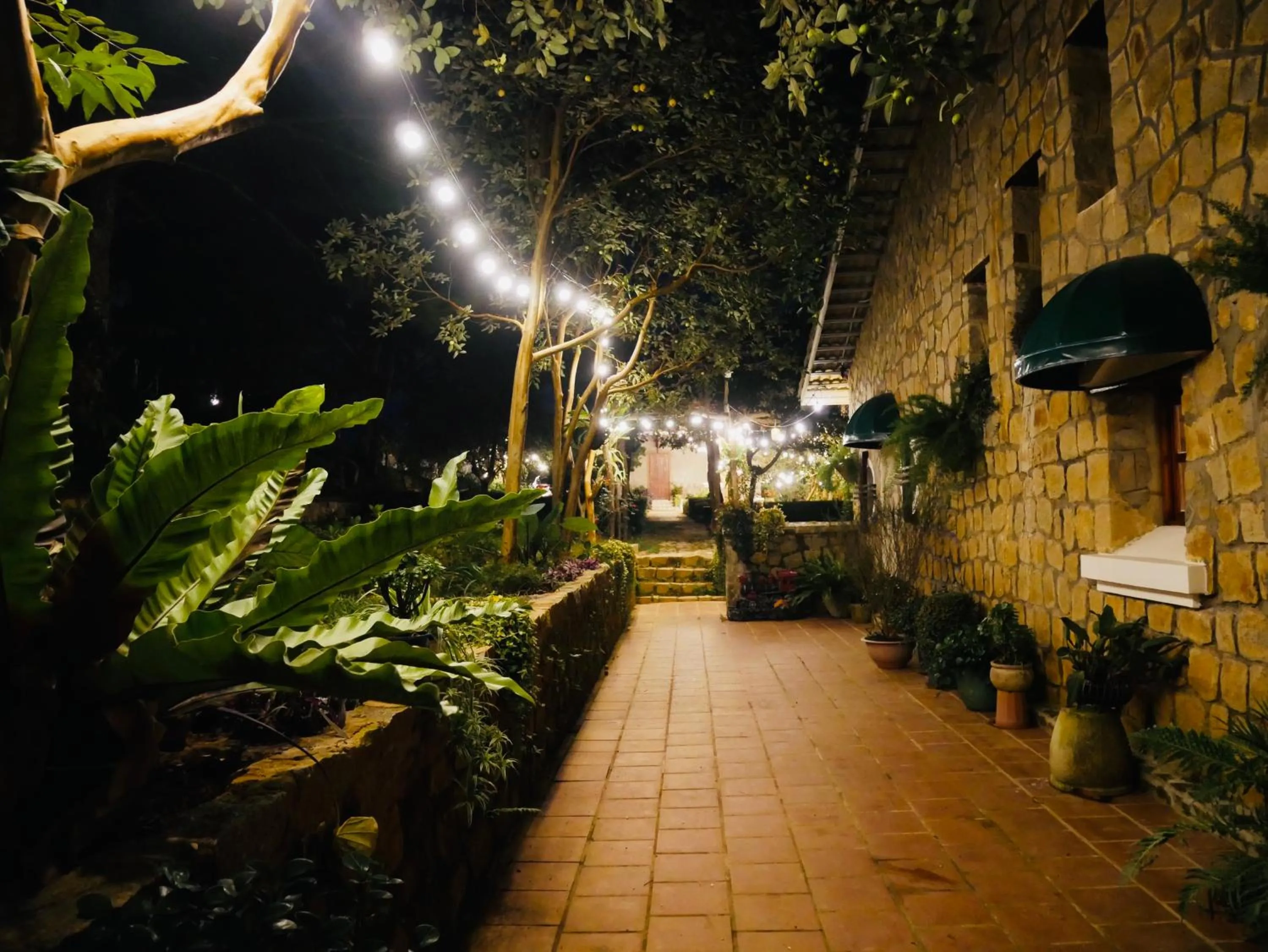 Night in Dalat Train Village