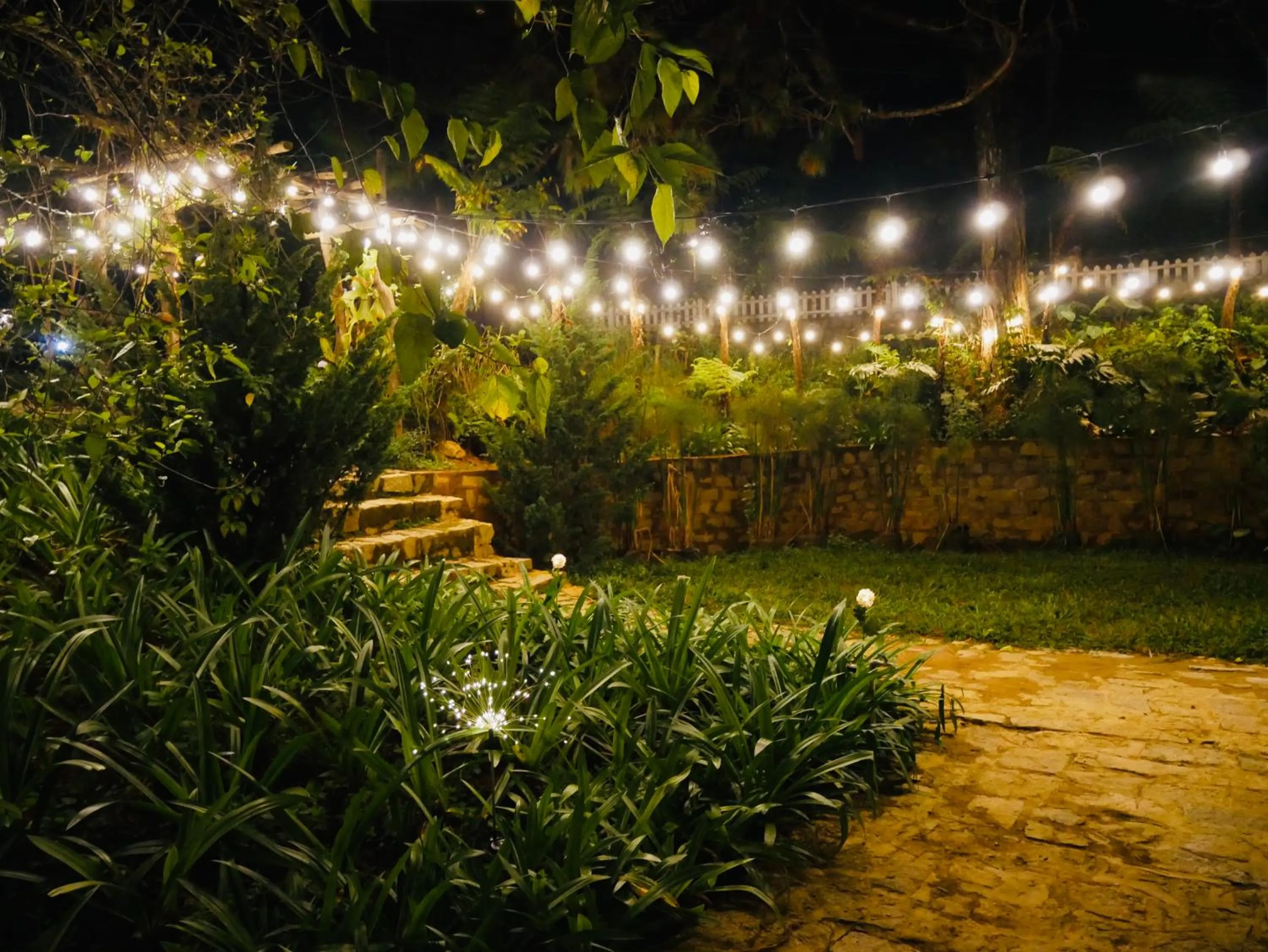 Night in Dalat Train Village