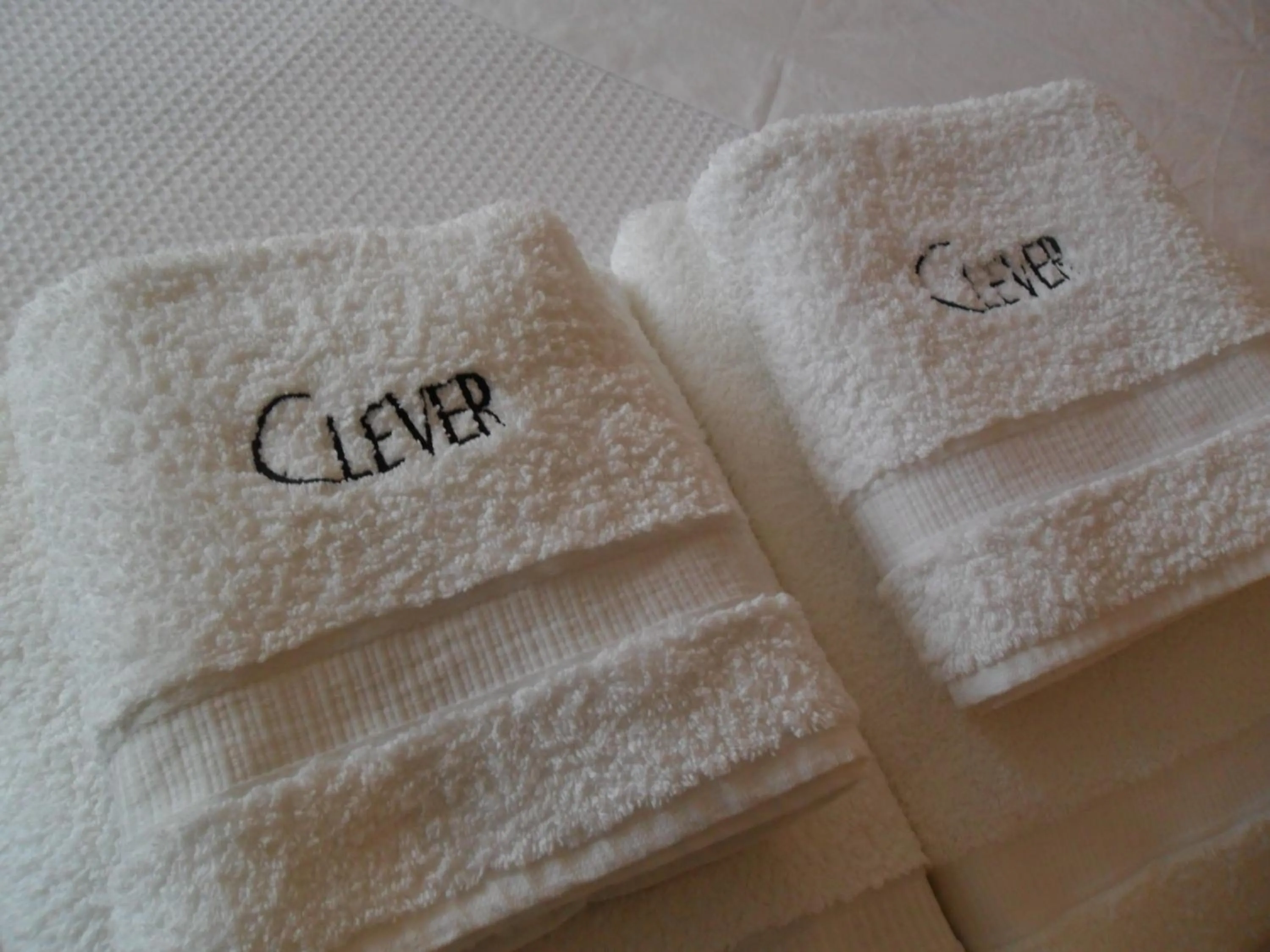 Logo/Certificate/Sign in Apart Edificio Clever