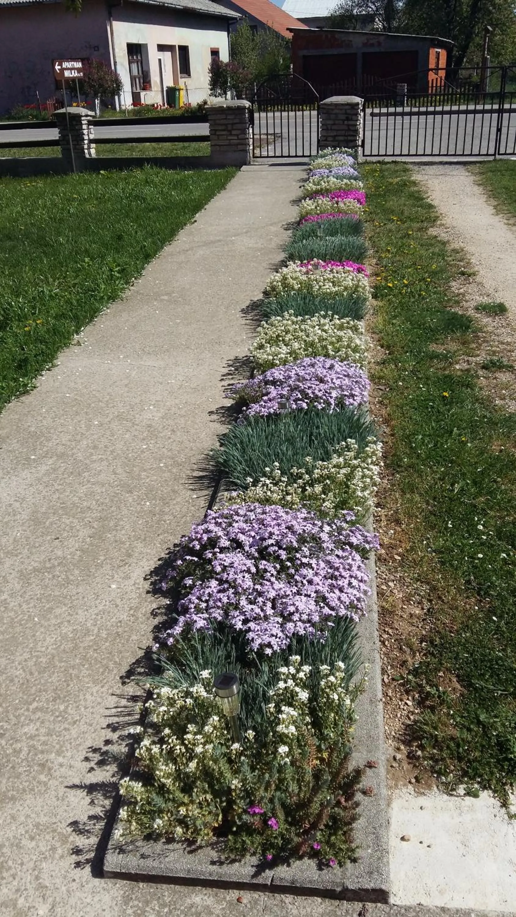 Spring in Apartment Milka