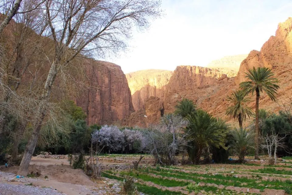 Property building in Dar Ayour Todra Gorges