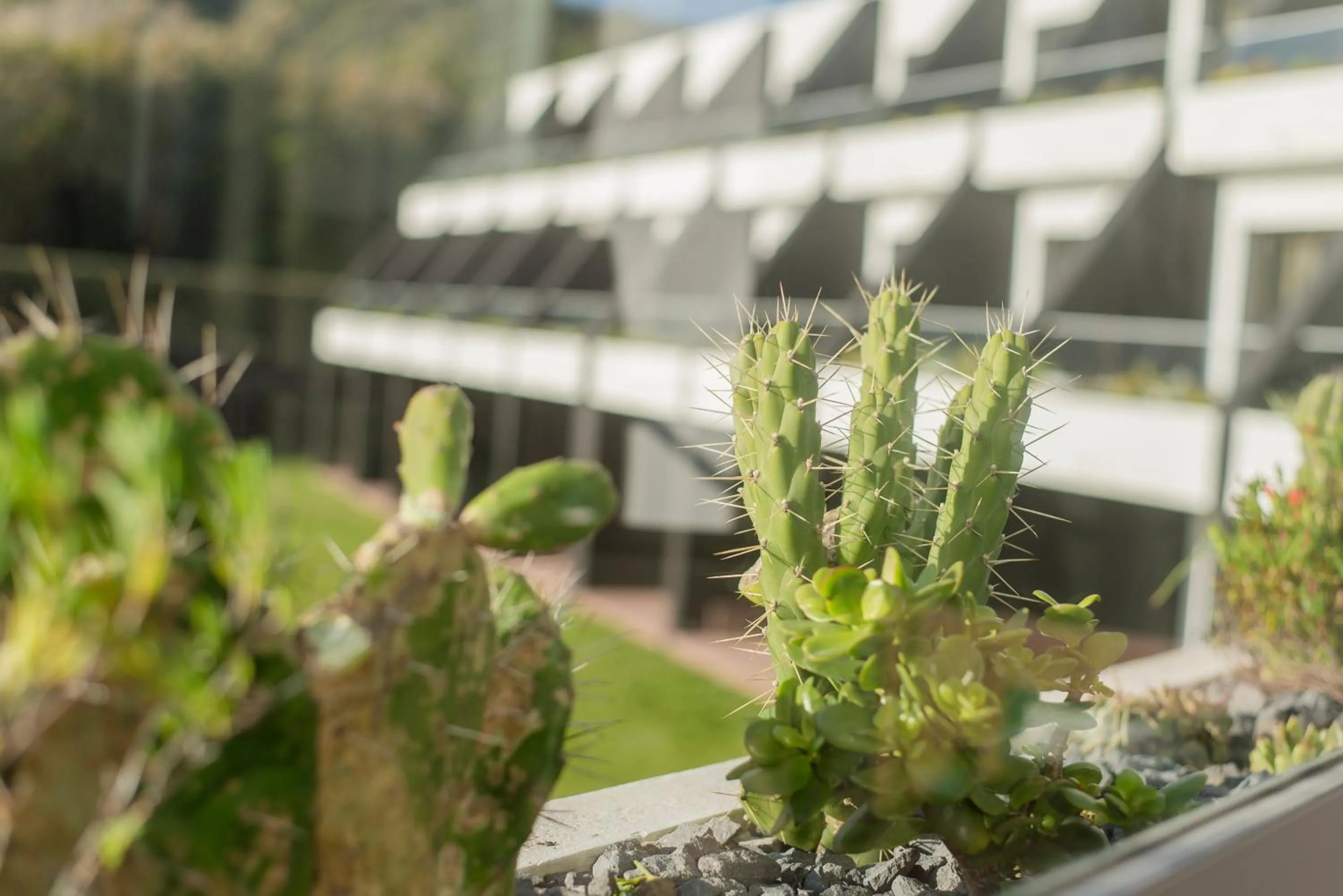 Property building in Caloura Hotel Resort