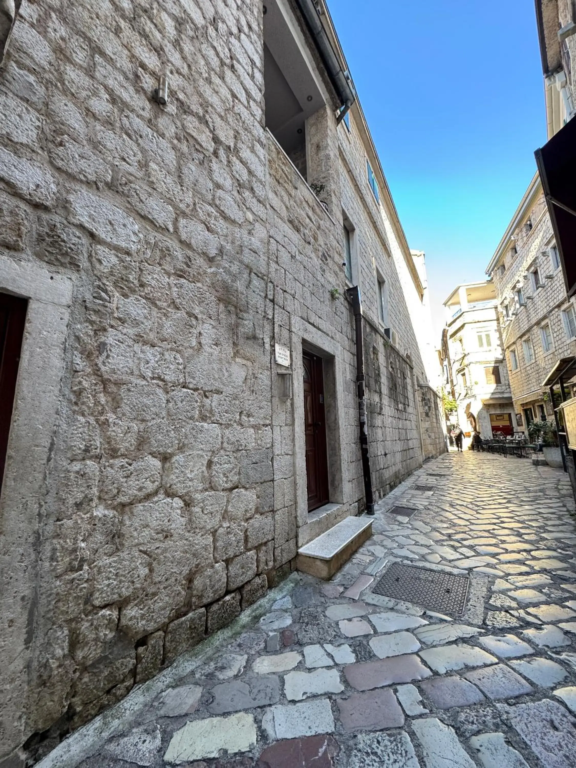 Vita Mundo Vita Mundo