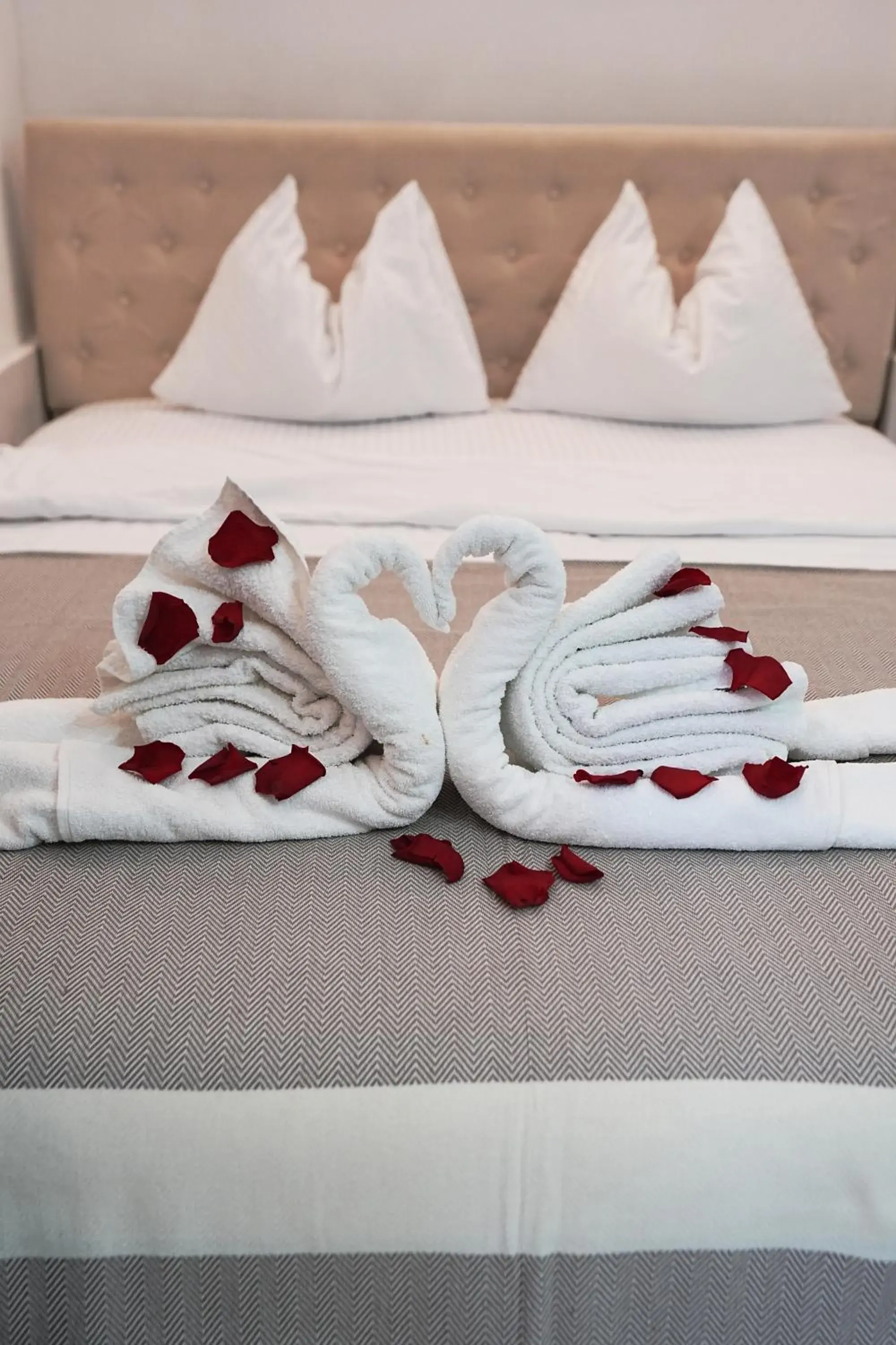 Studio Apartment with King Bed in Vita Mundo Studio Apartment with King Bed in Vita Mundo