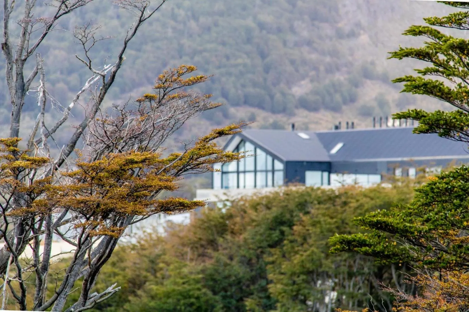 Balcony/Terrace in Terrazas Del Beagle Apartamentos