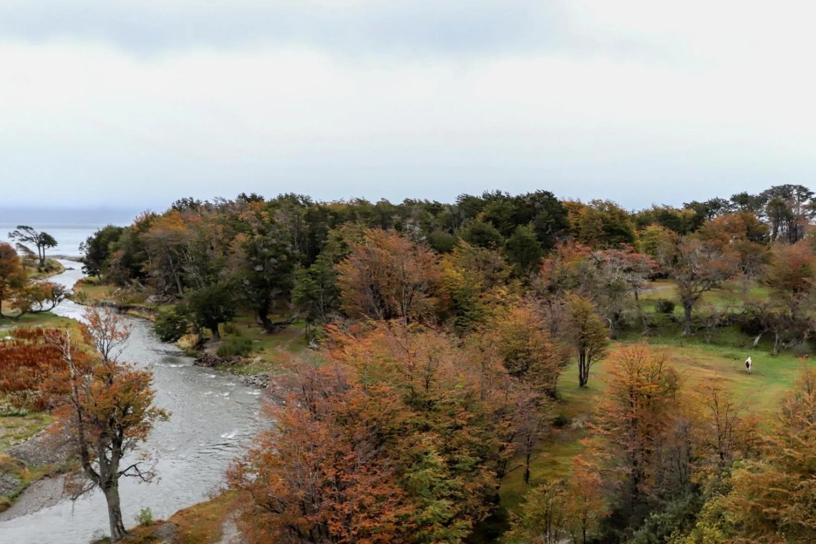 Terrazas Del Beagle Apartamentos
