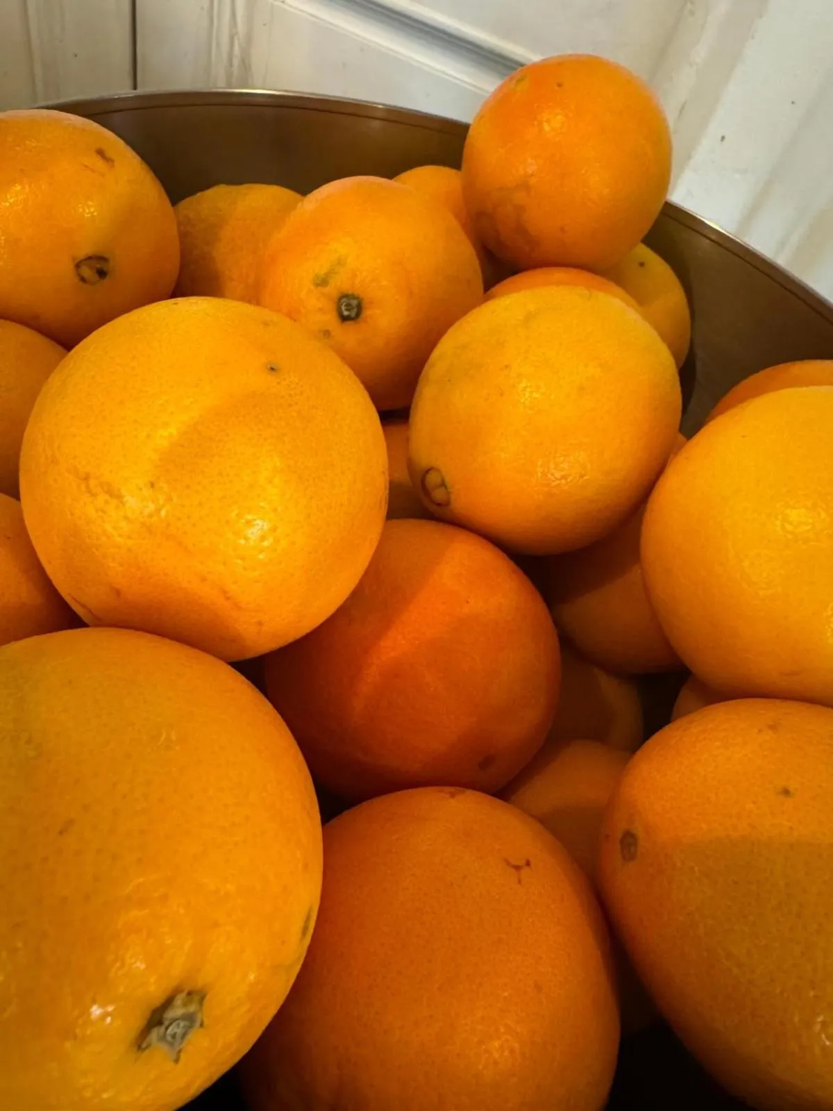 Restaurant/places to eat in Hotel Le Focette