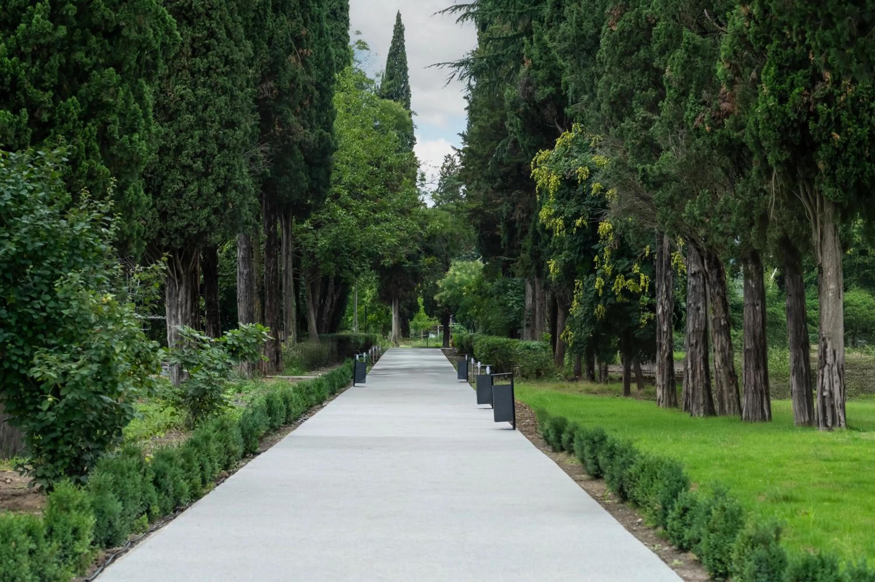 Garden in Samzeo Kvareli