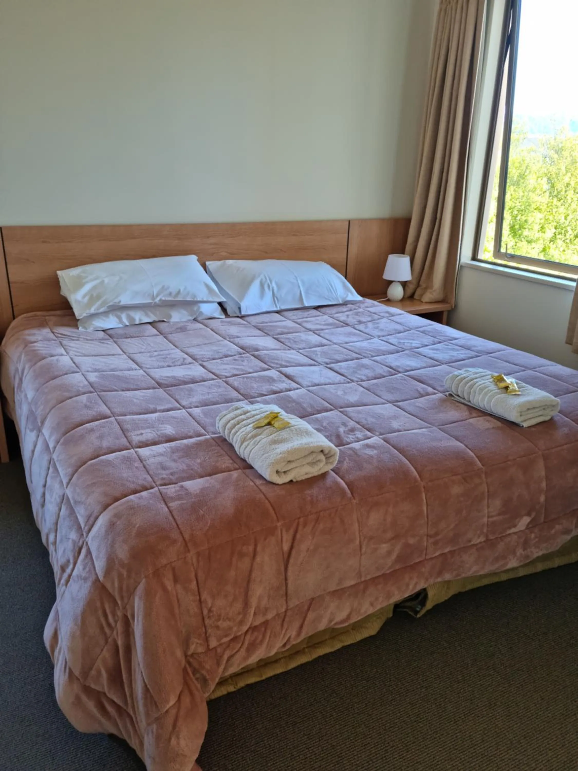 Mountain view, Bed in Methven Motel & Apartments