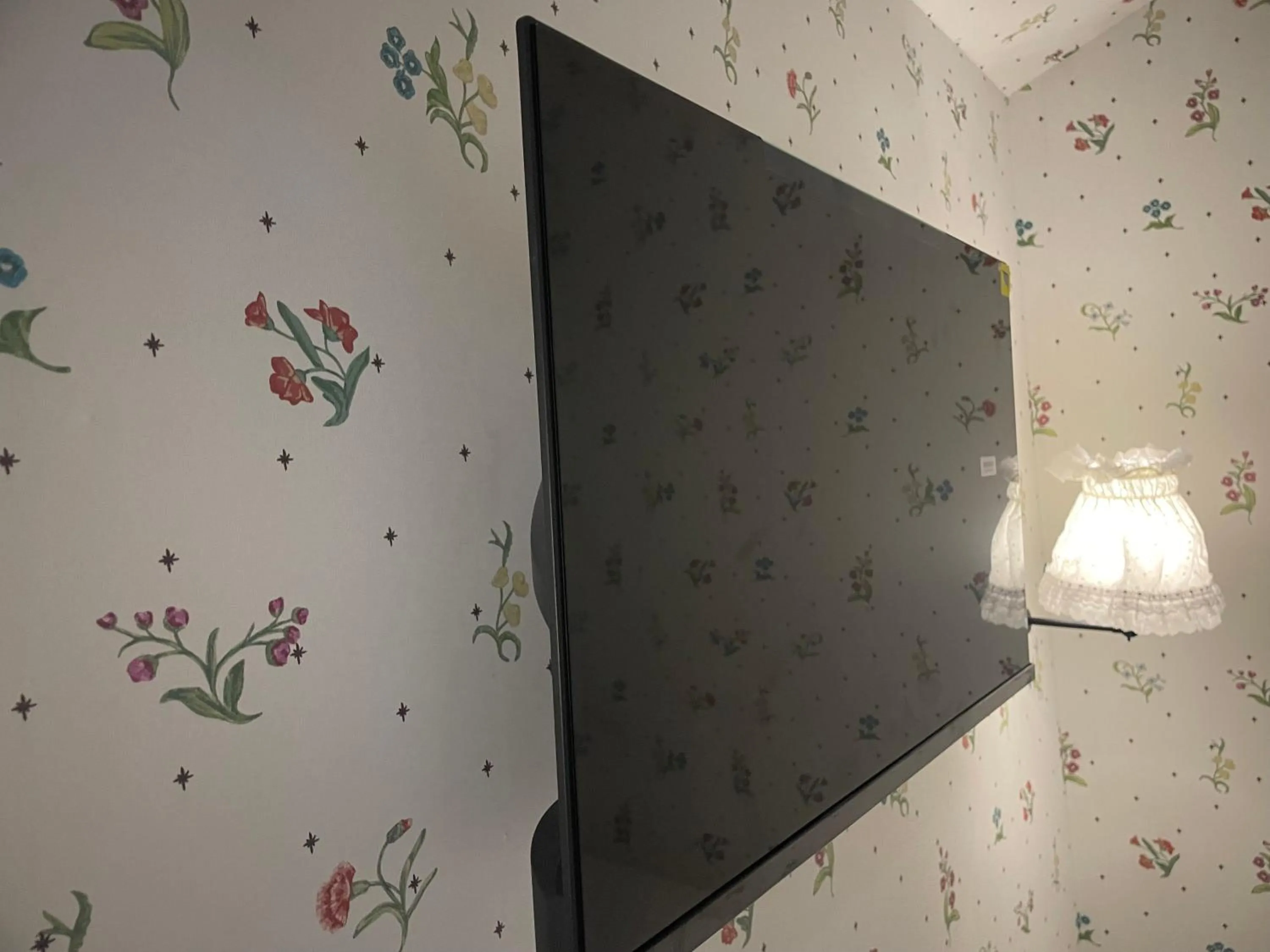 TV and multimedia in Kitsch Hotel