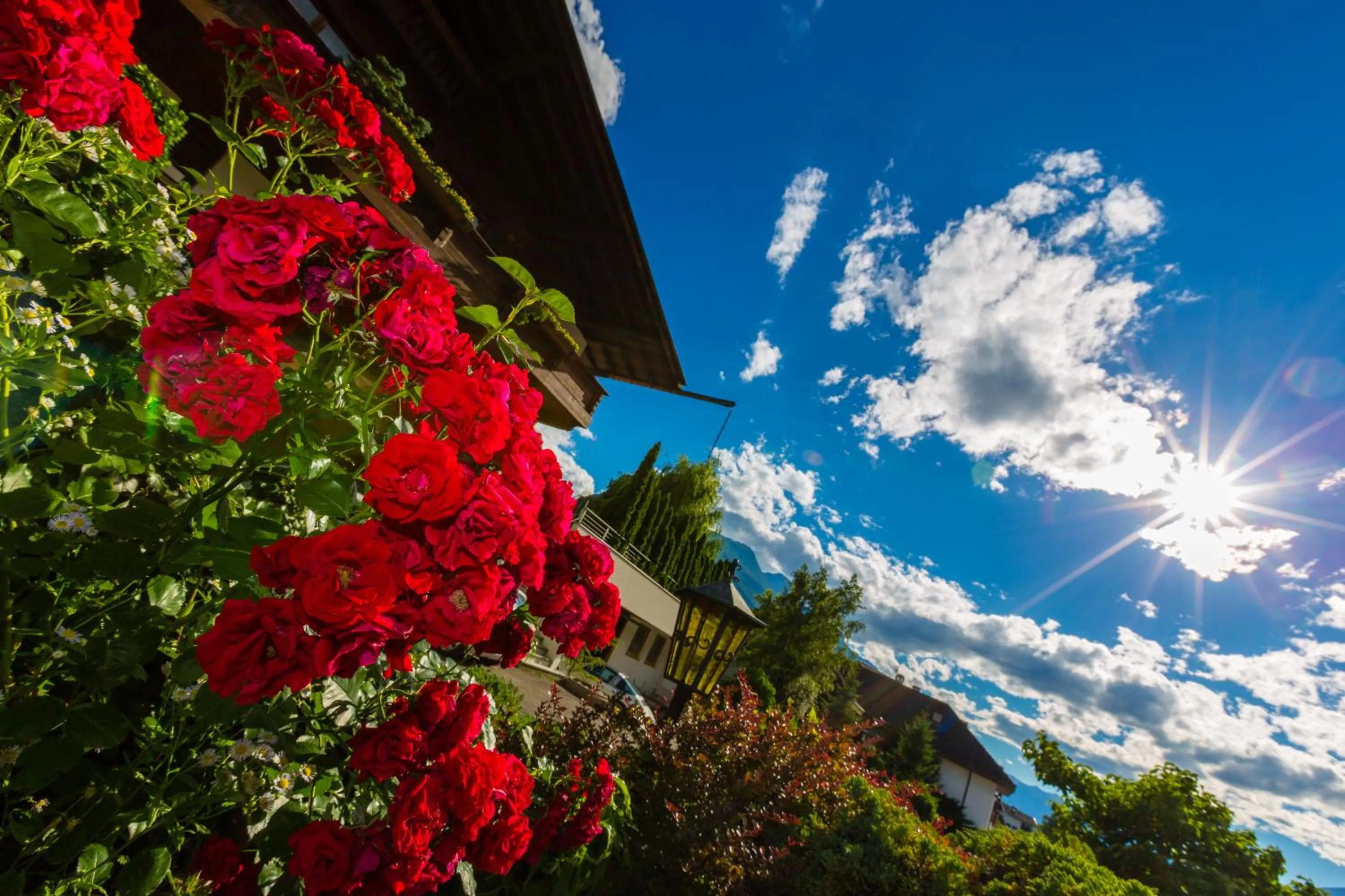 Facade/entrance in Garni - Hotel Rinner Julia