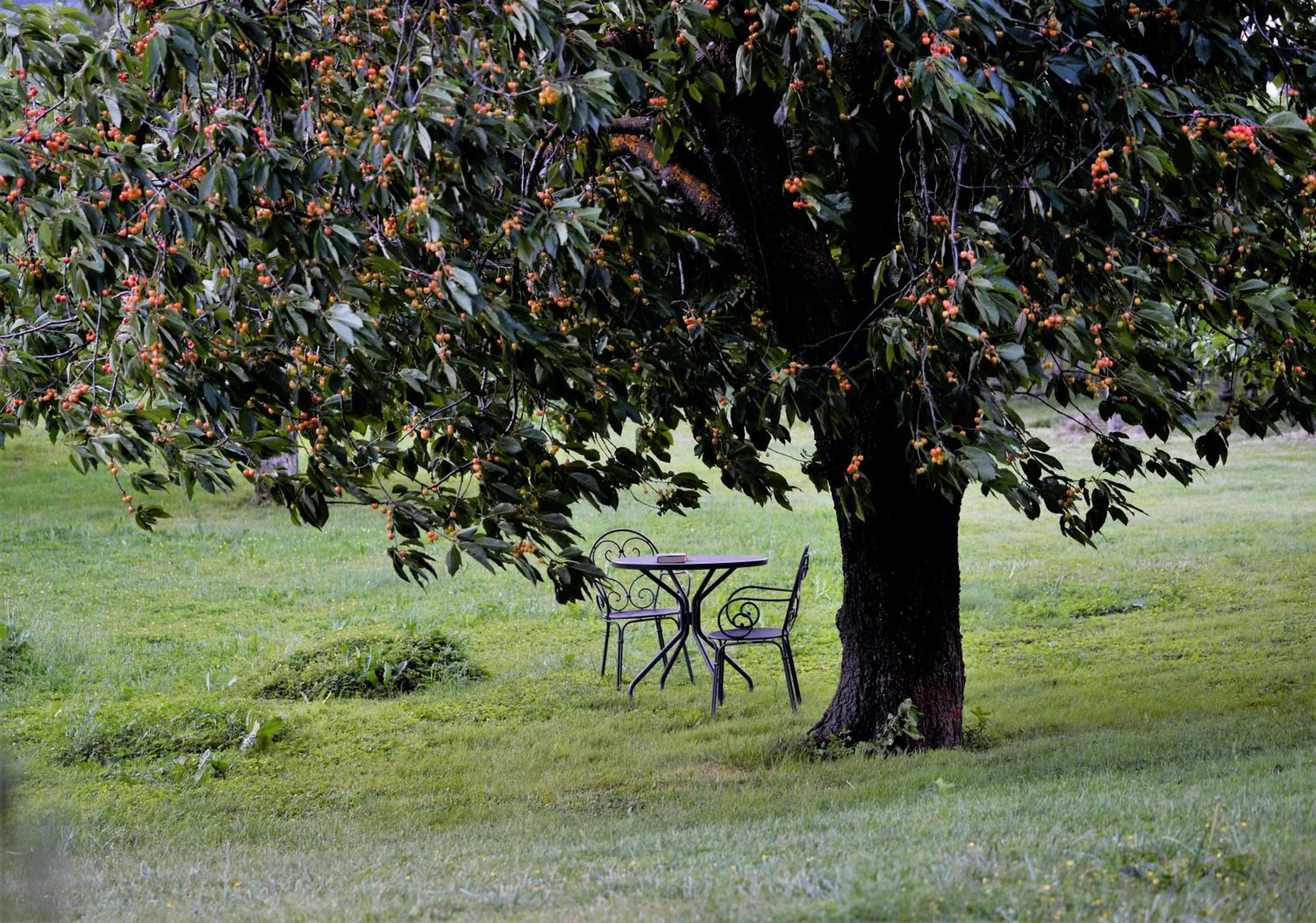 Property building in Garni - Hotel Rinner Julia