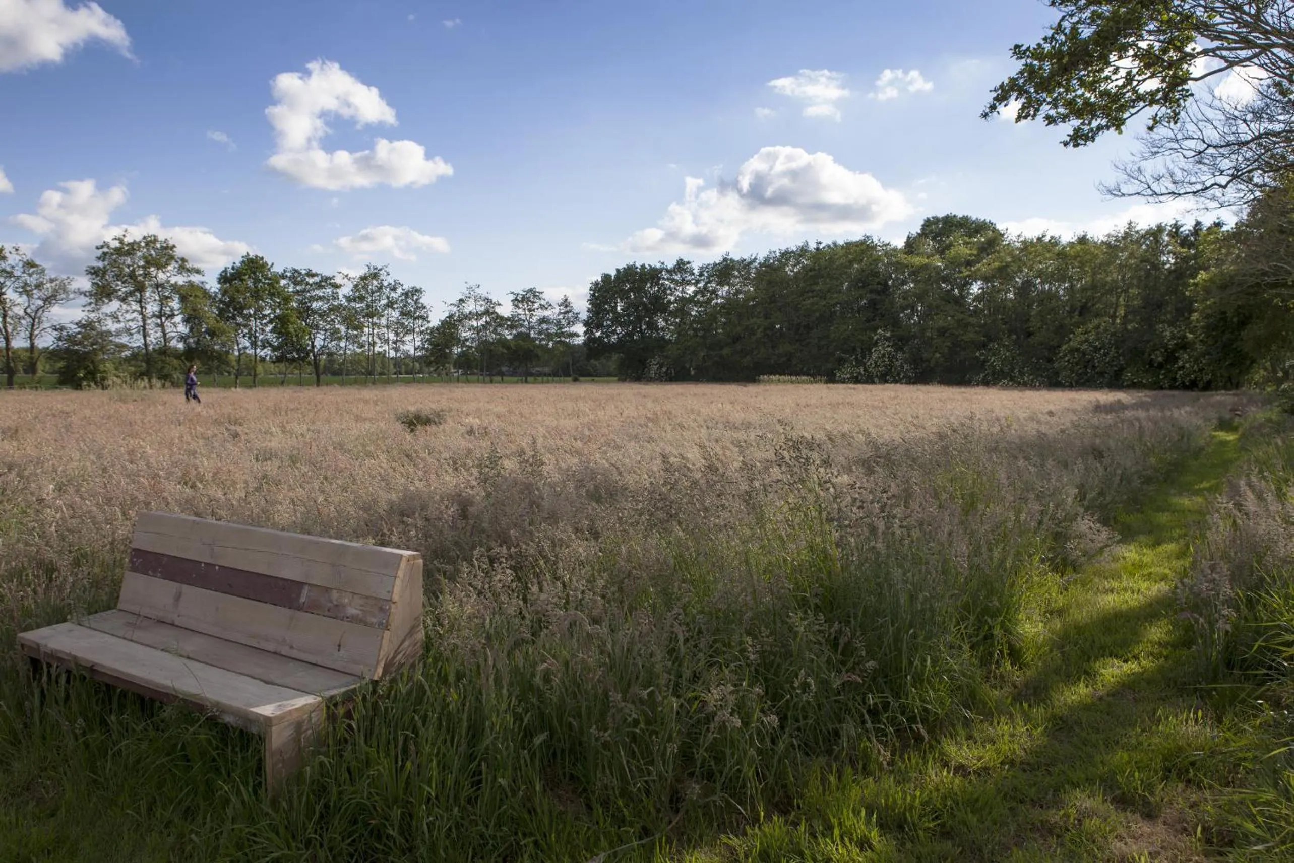Day in Logement de Kaap