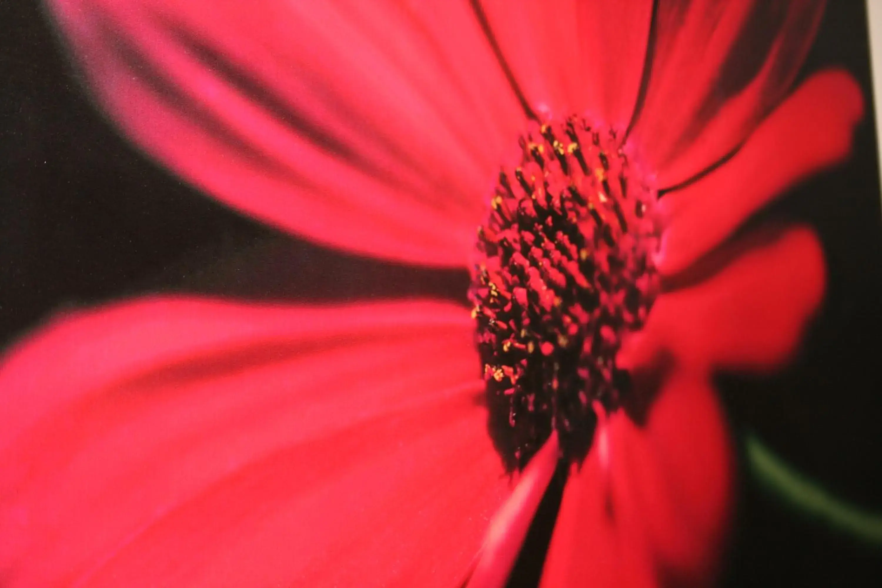 One-Bedroom Apartment in Premier Lodge Central One-Bedroom Apartment in Premier Lodge Central