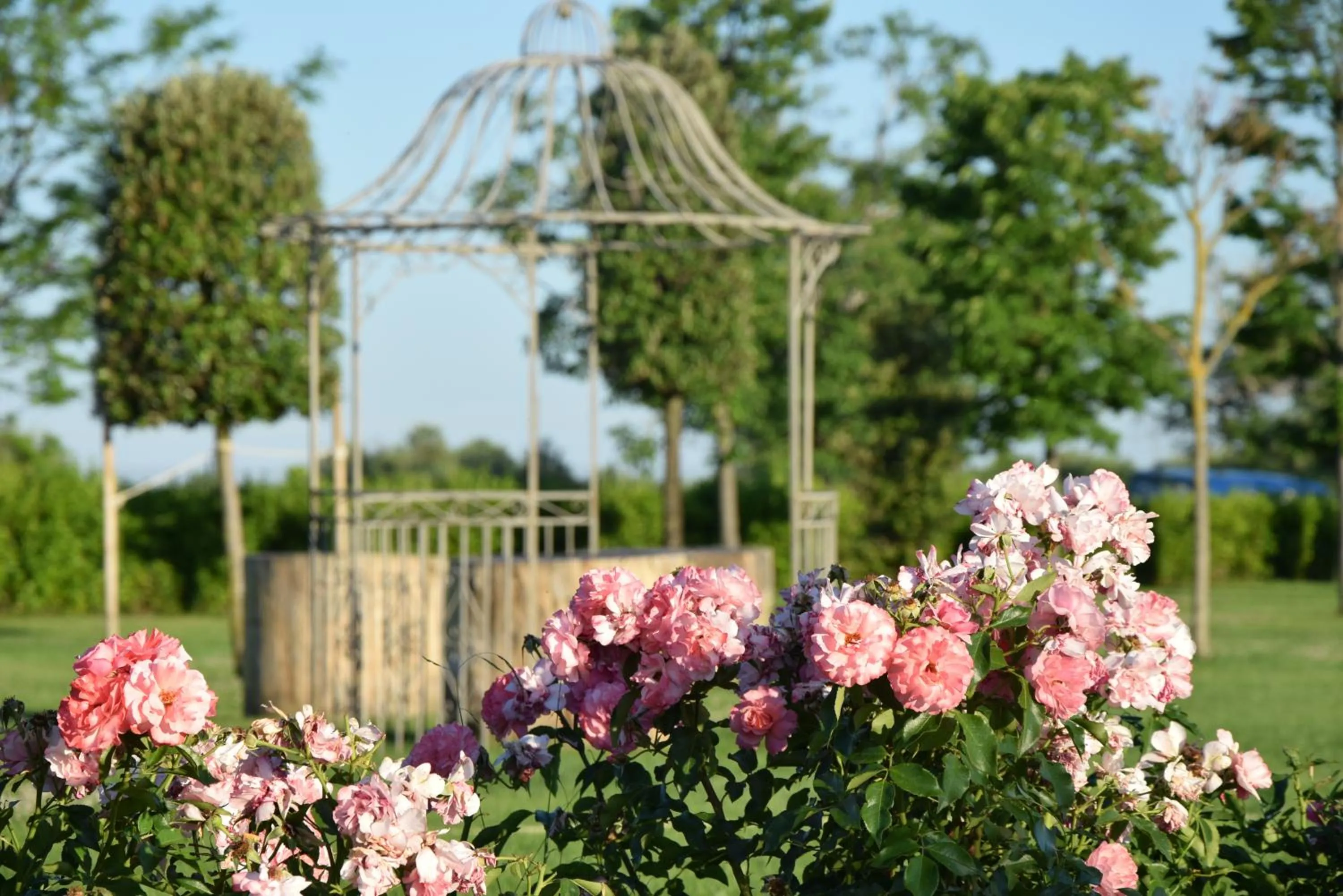 Garden in Postiglione Country House