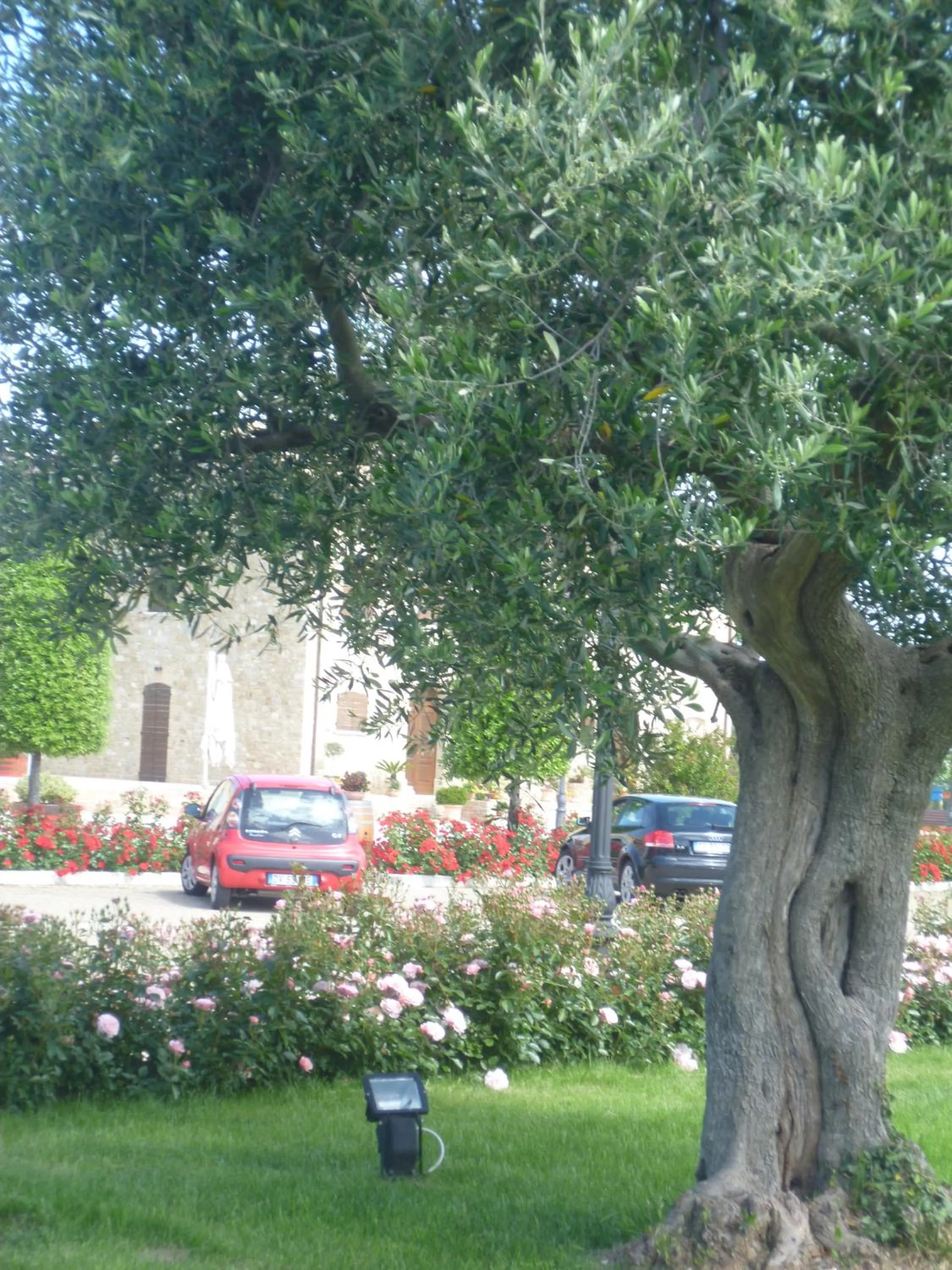 Garden view in Postiglione Country House
