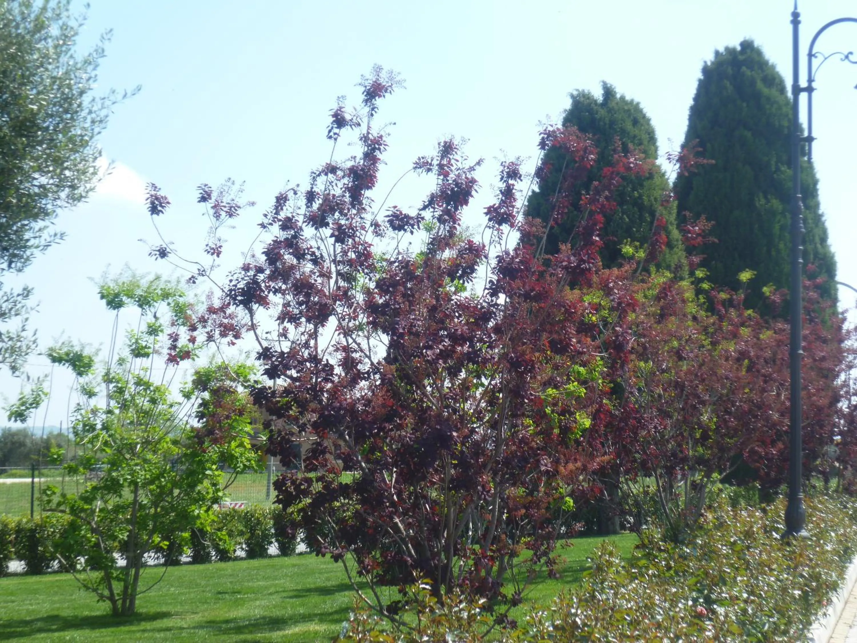 Garden view in Postiglione Country House