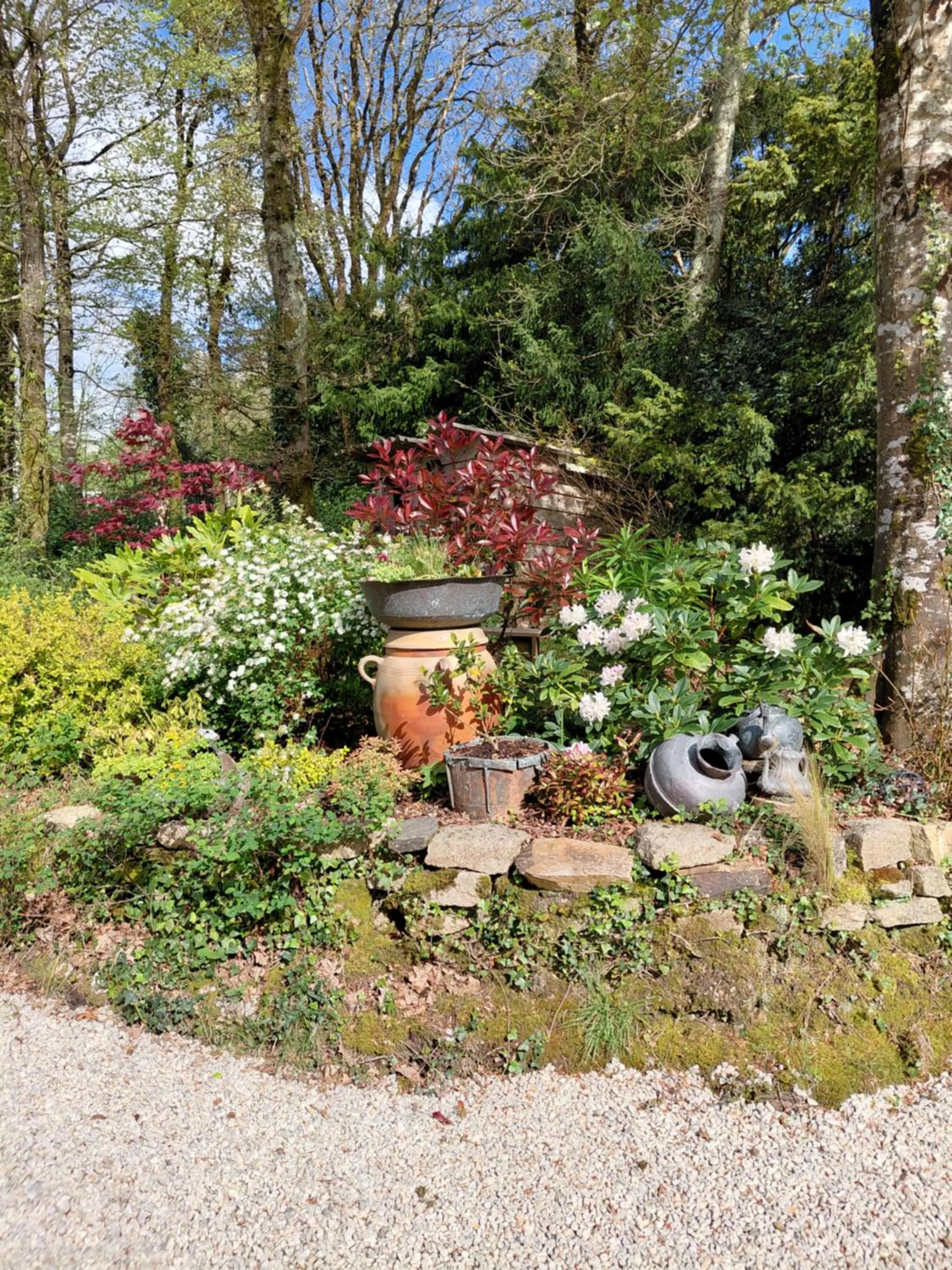 Garden in Maison dans un environnement boisé très calme