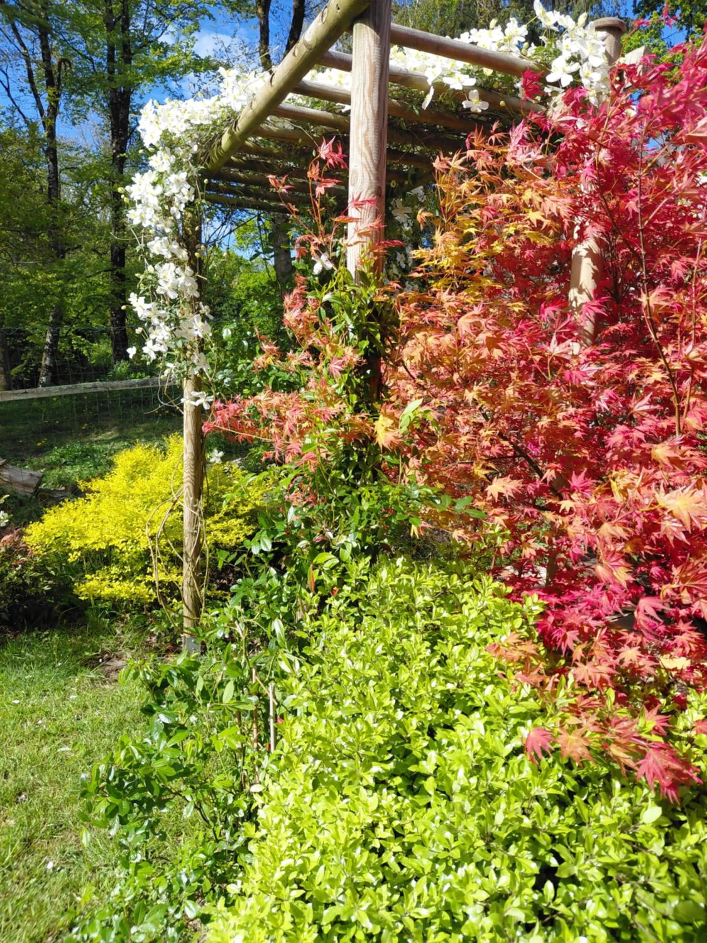 Garden in Maison dans un environnement boisé très calme