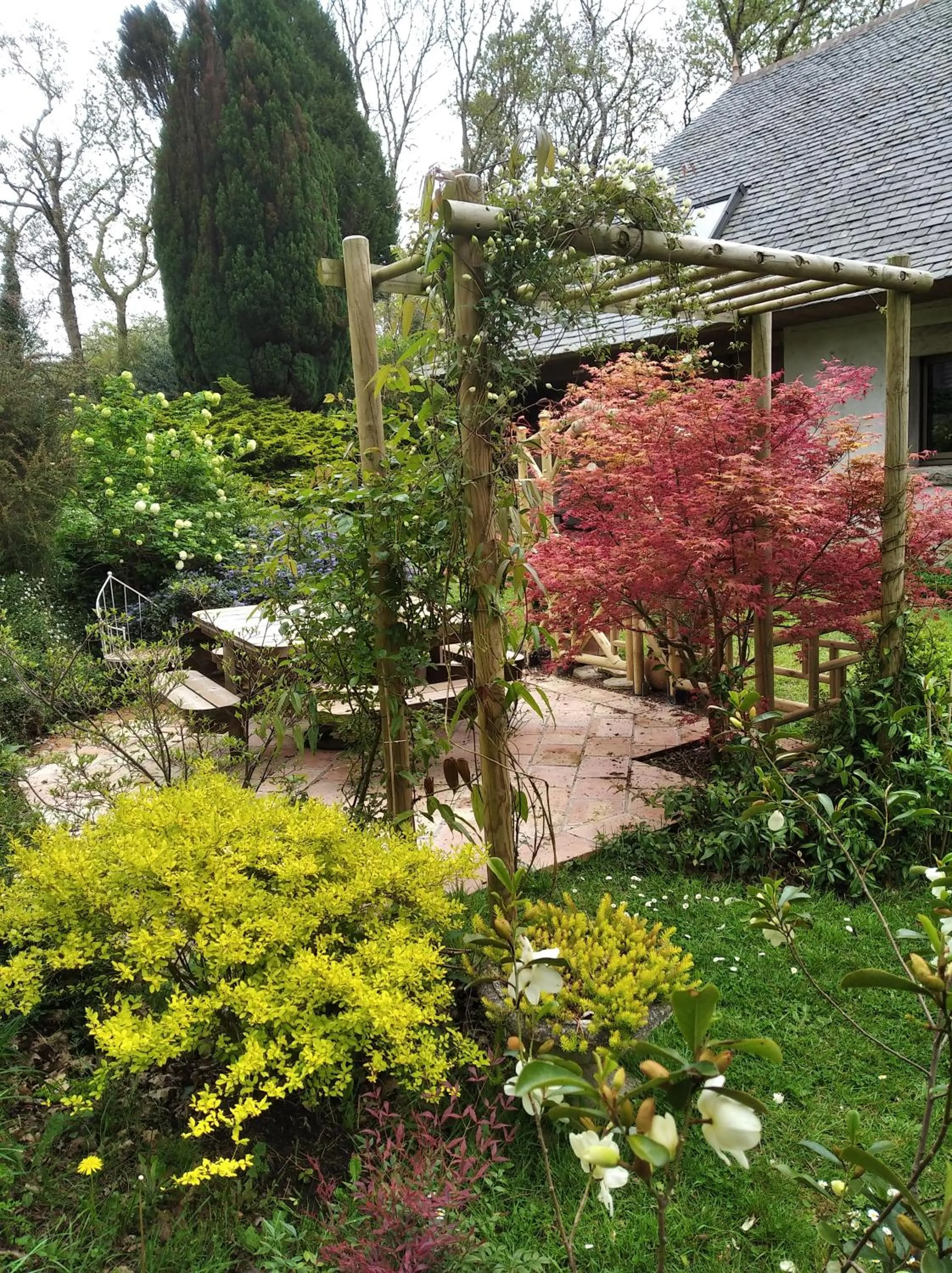 Patio in Maison dans un environnement boisé très calme