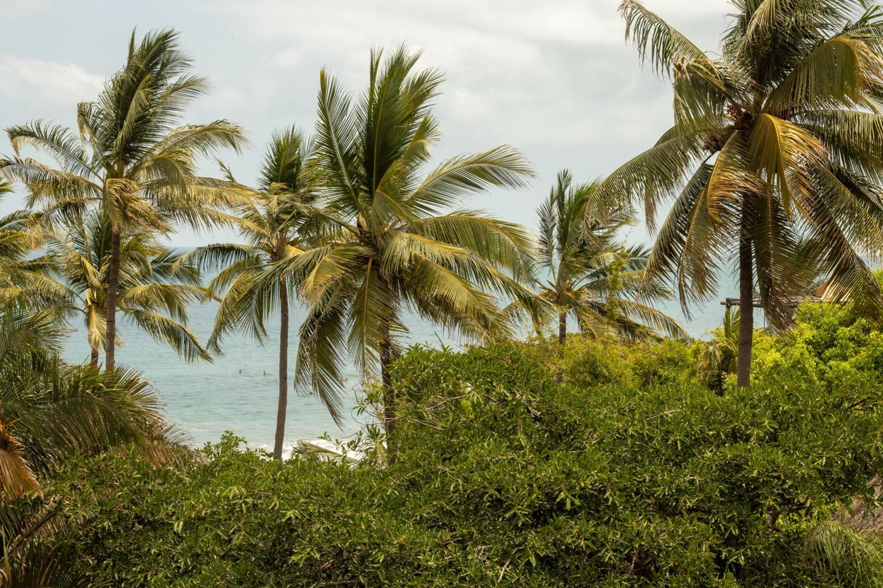 Sea view in Nomada Wellness Hotel