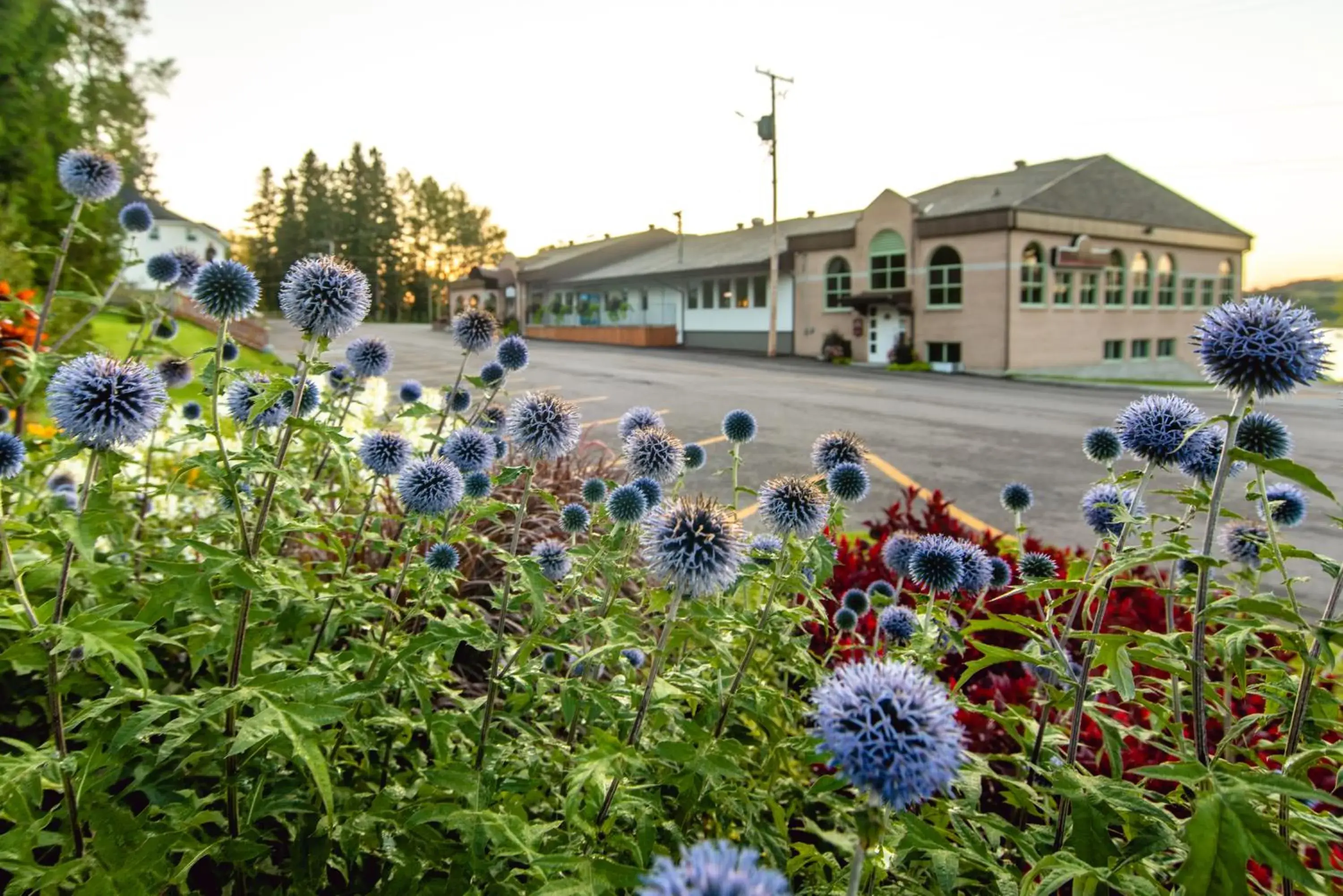 Property building in Ermitage Saint-Antoine Property building in Ermitage Saint-Antoine