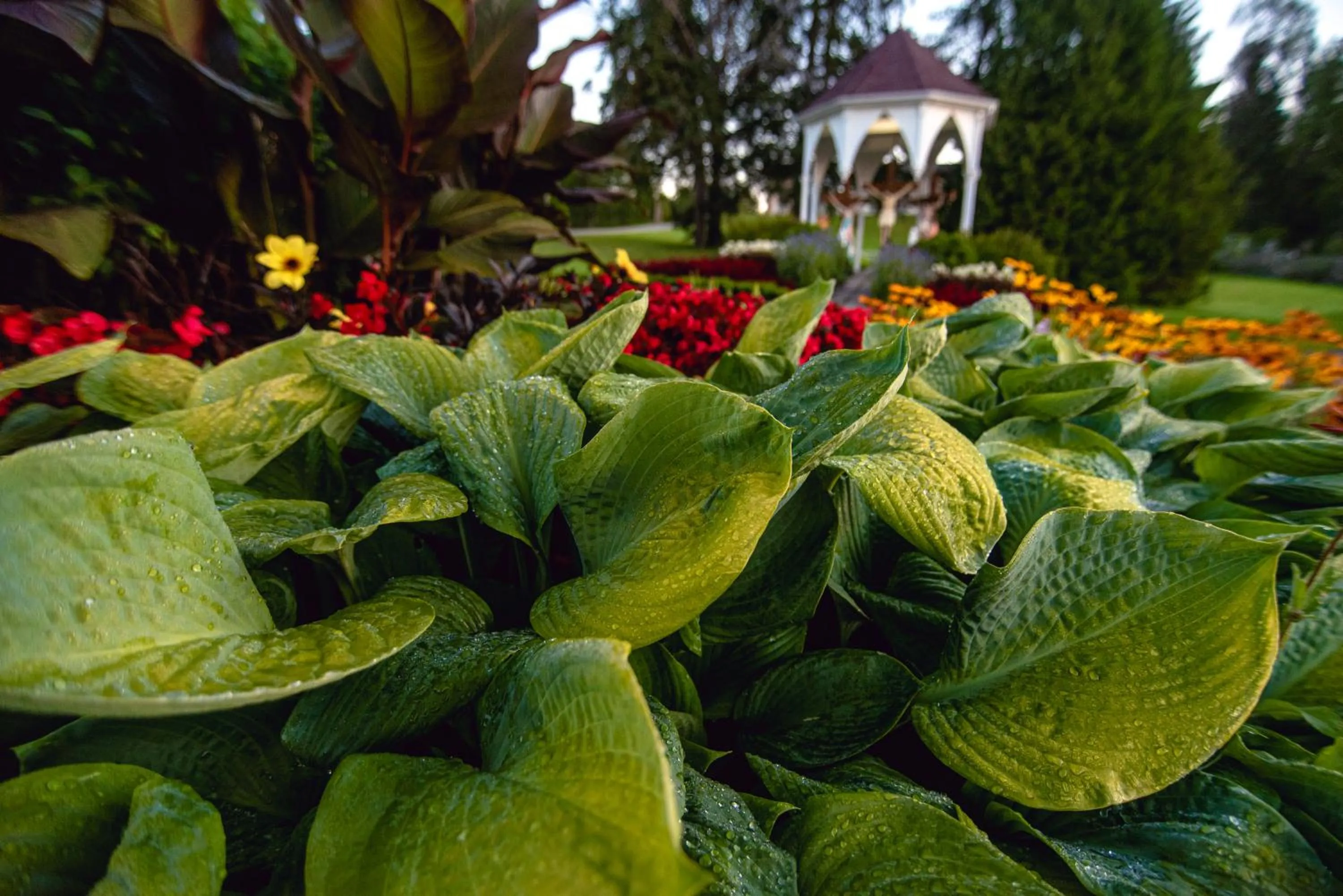 Garden in Ermitage Saint-Antoine
