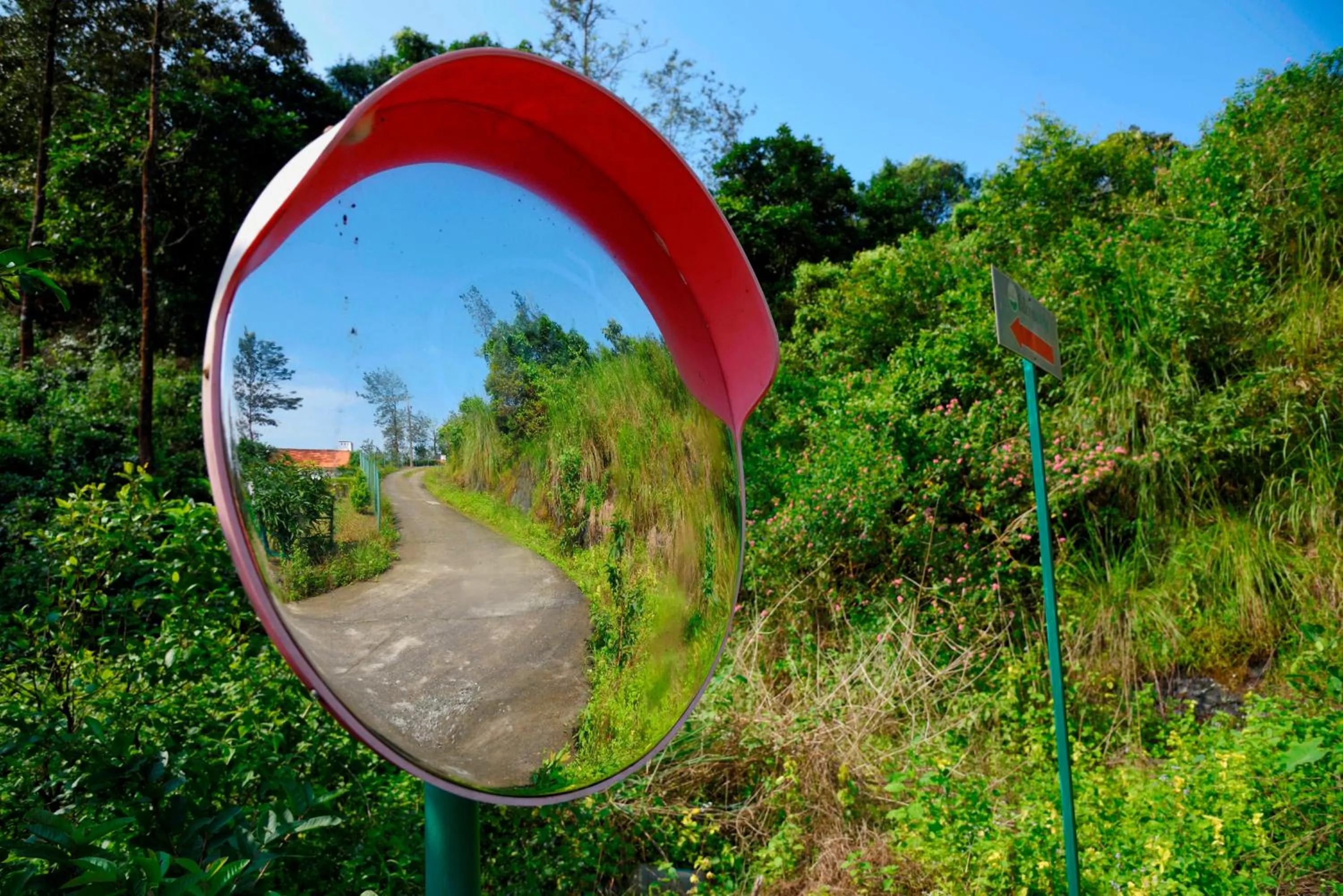 Property building in Falcon Crest