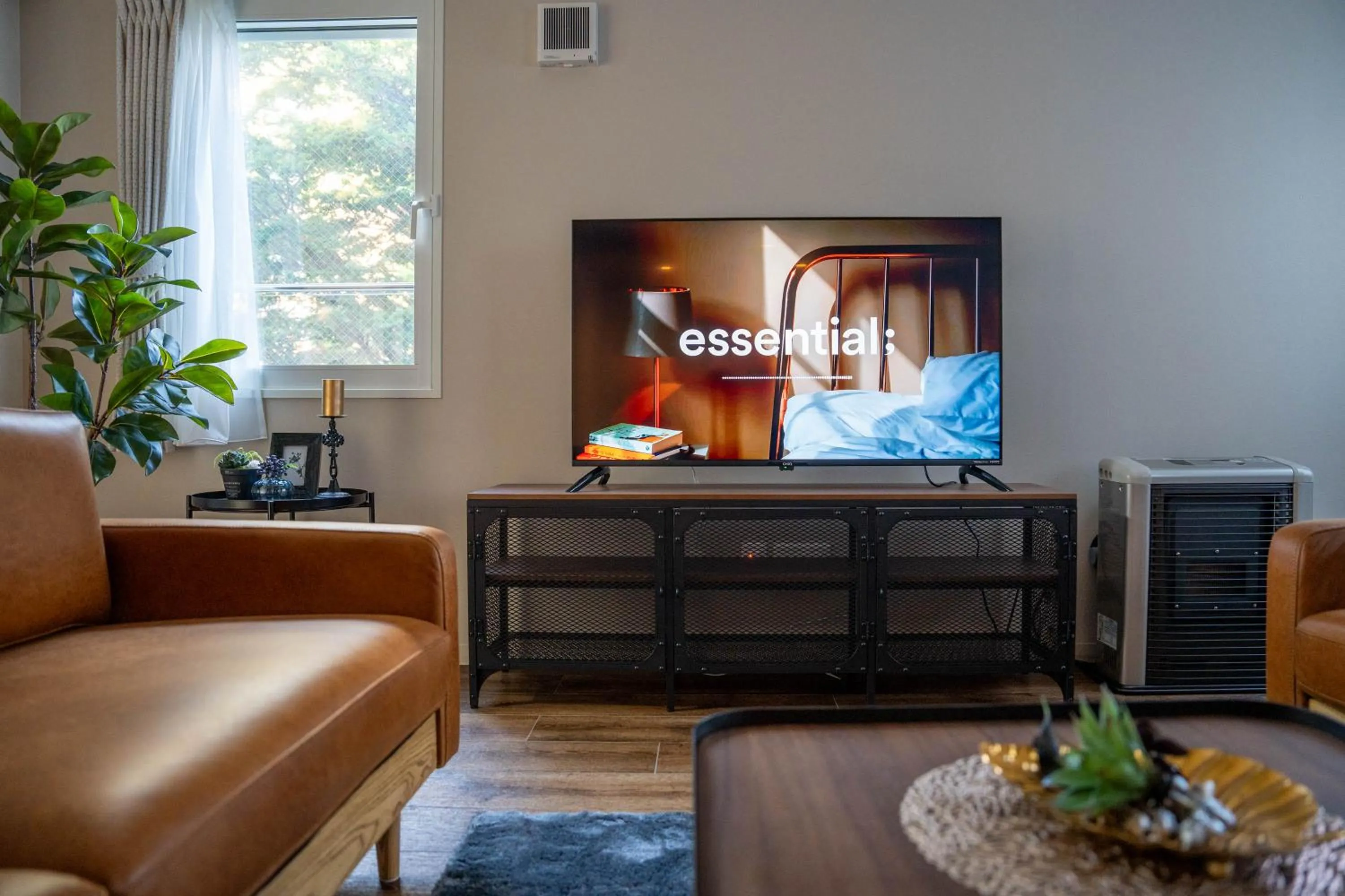 TV and multimedia in Zabo Hills 202