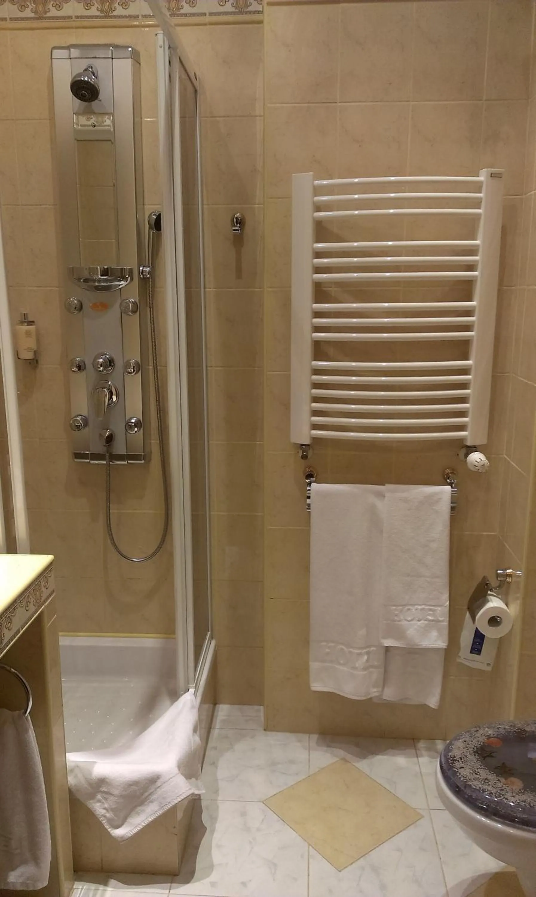 Shower in Hotel Bristol