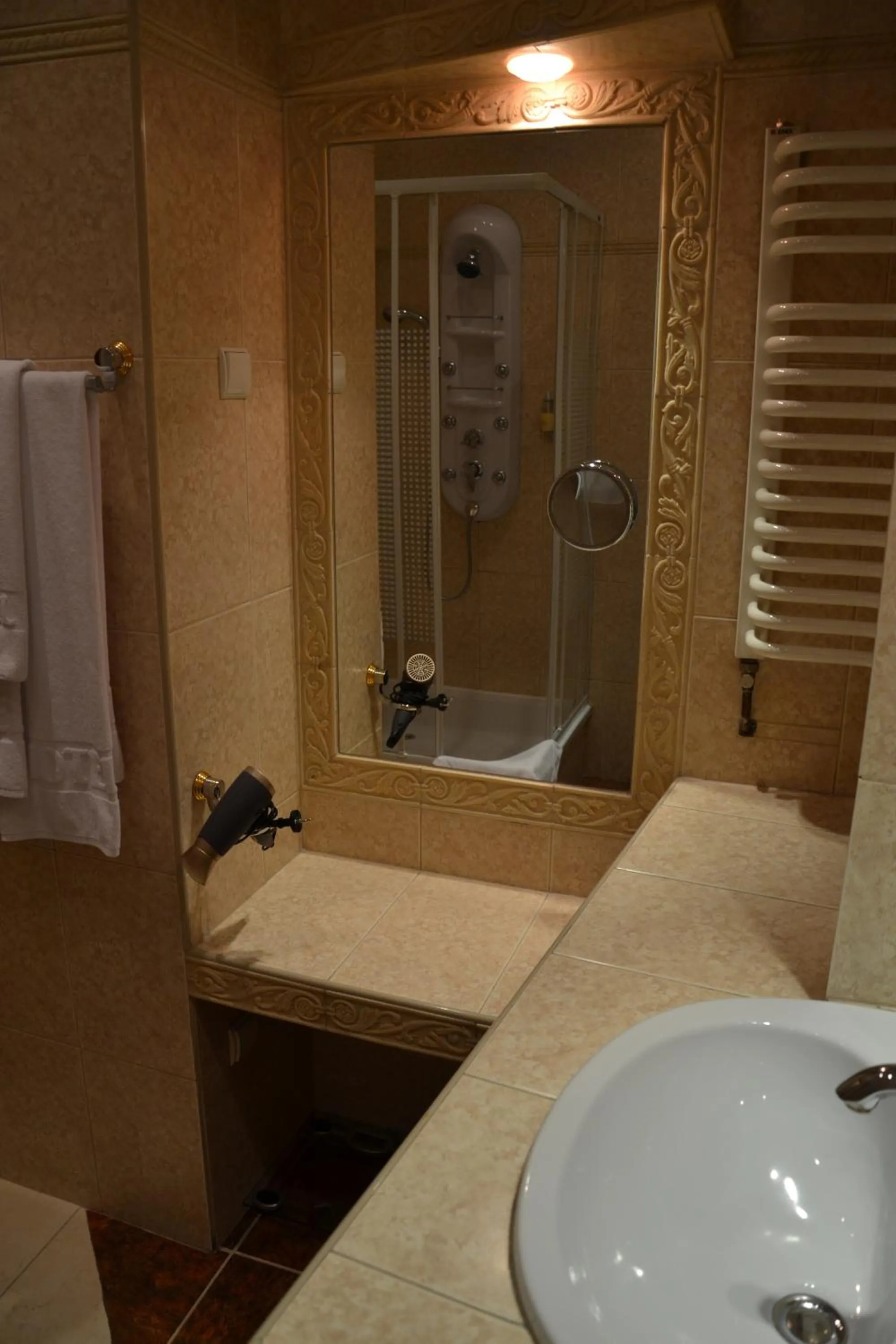 Shower in Hotel Bristol