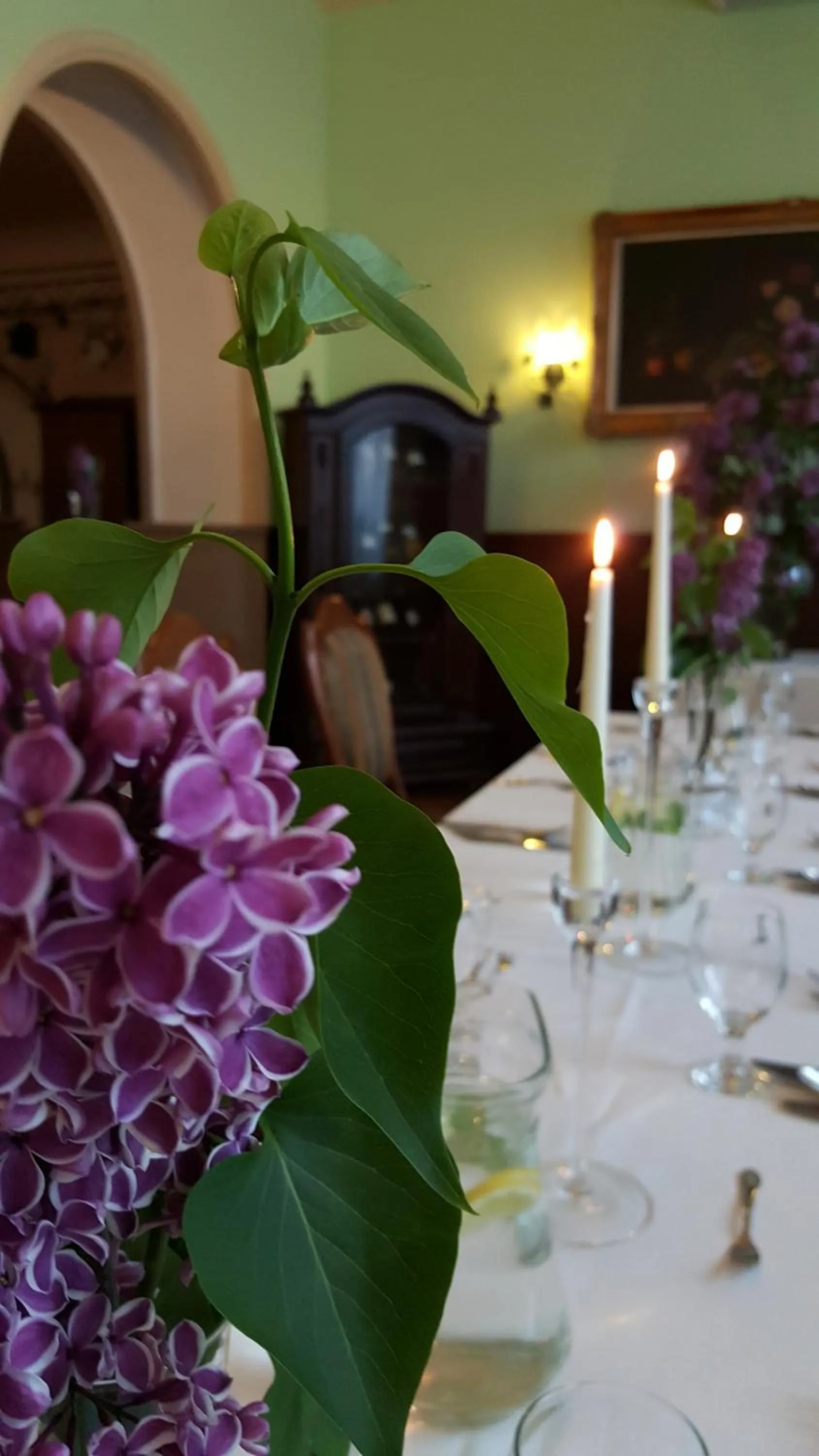 Restaurant/places to eat in Hotel Bristol