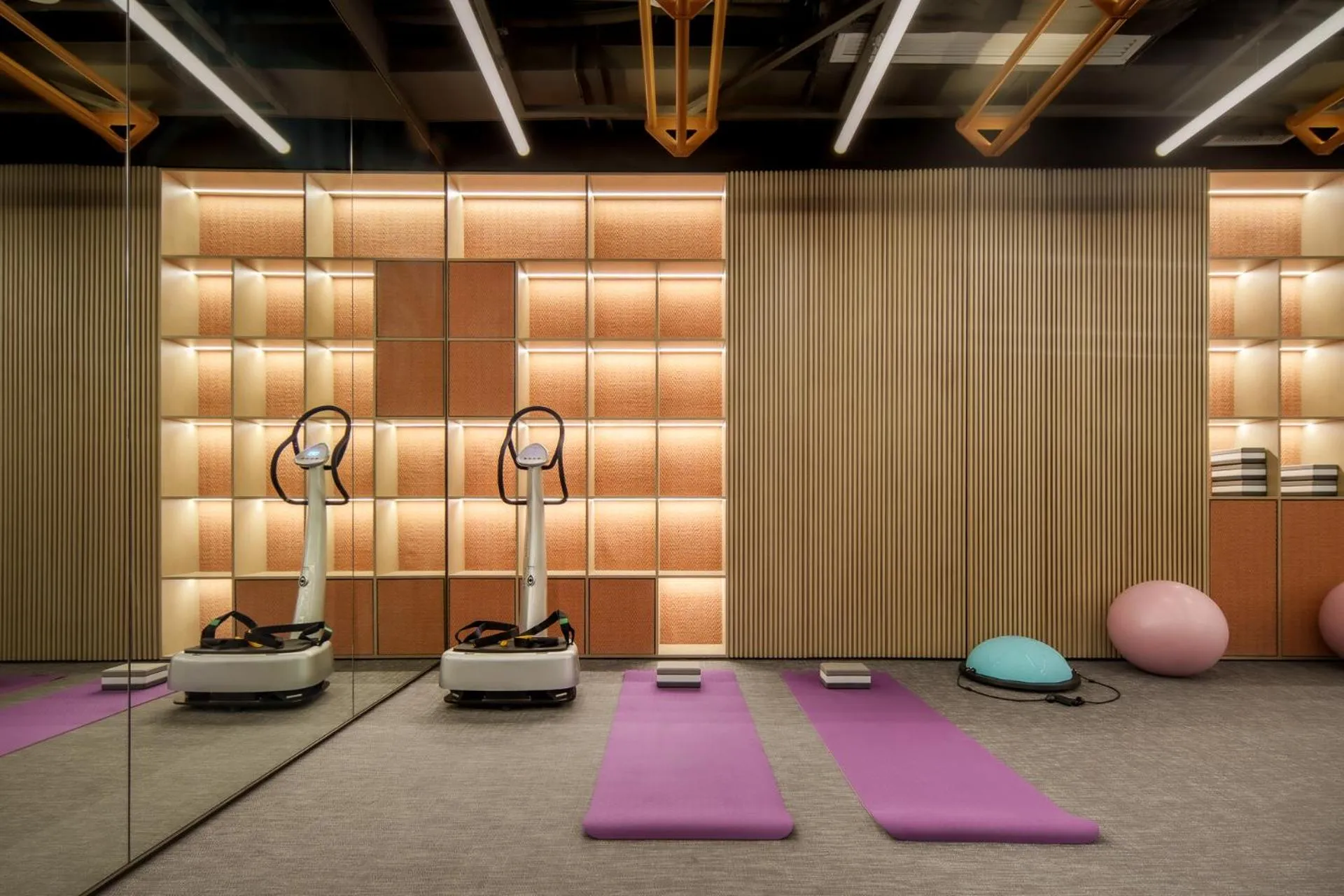 Fitness centre/facilities in Ming Hotel Nanjing - MGallery Collection