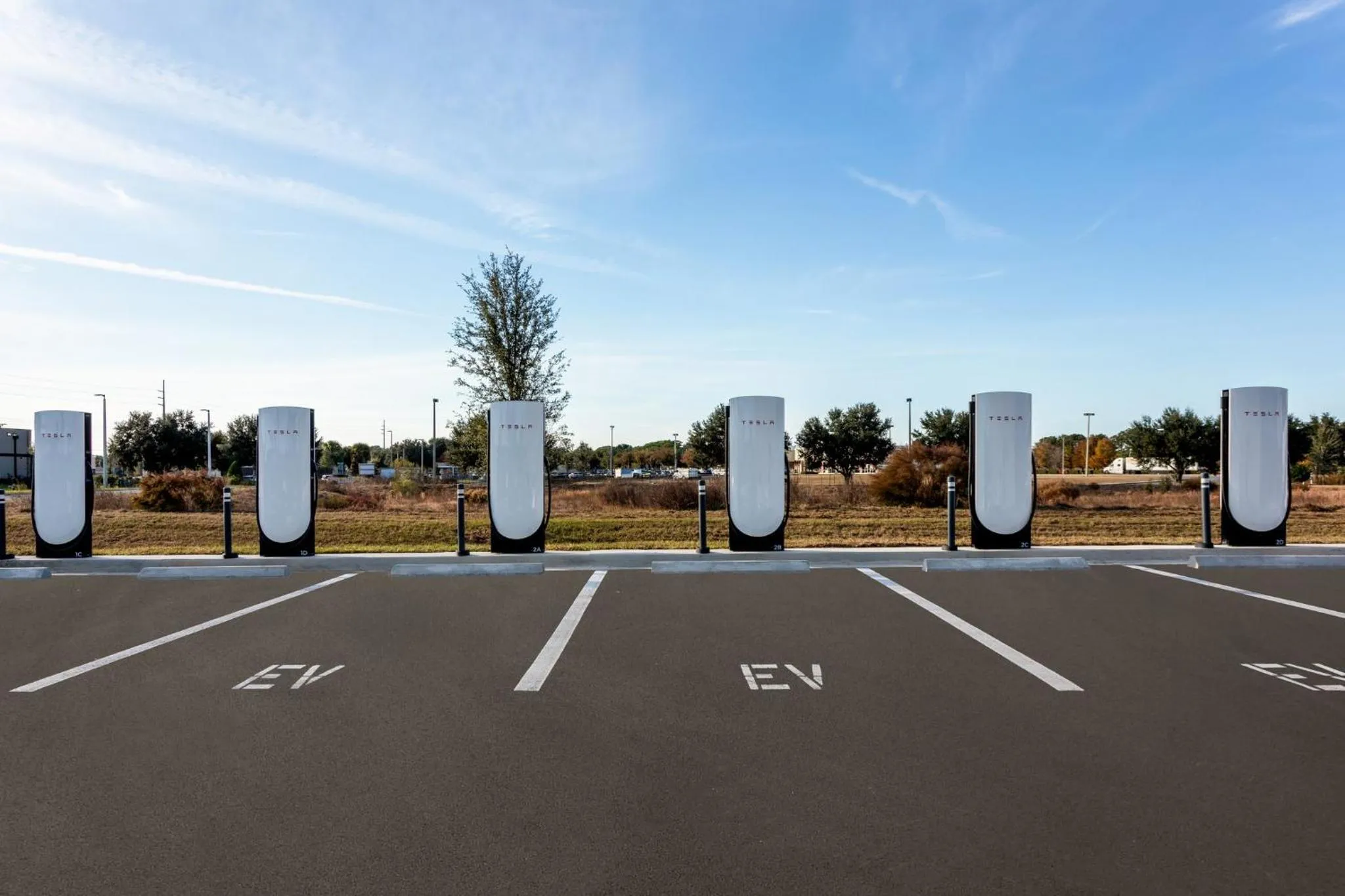 Lobby or reception in Staybridge Suites Ocala-near Equestrian-Aquatics by IHG
