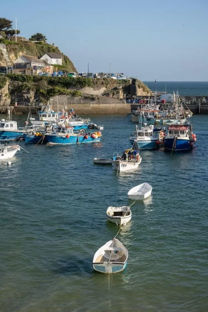 Family Home in Newquay Parking 3 mins to Beach