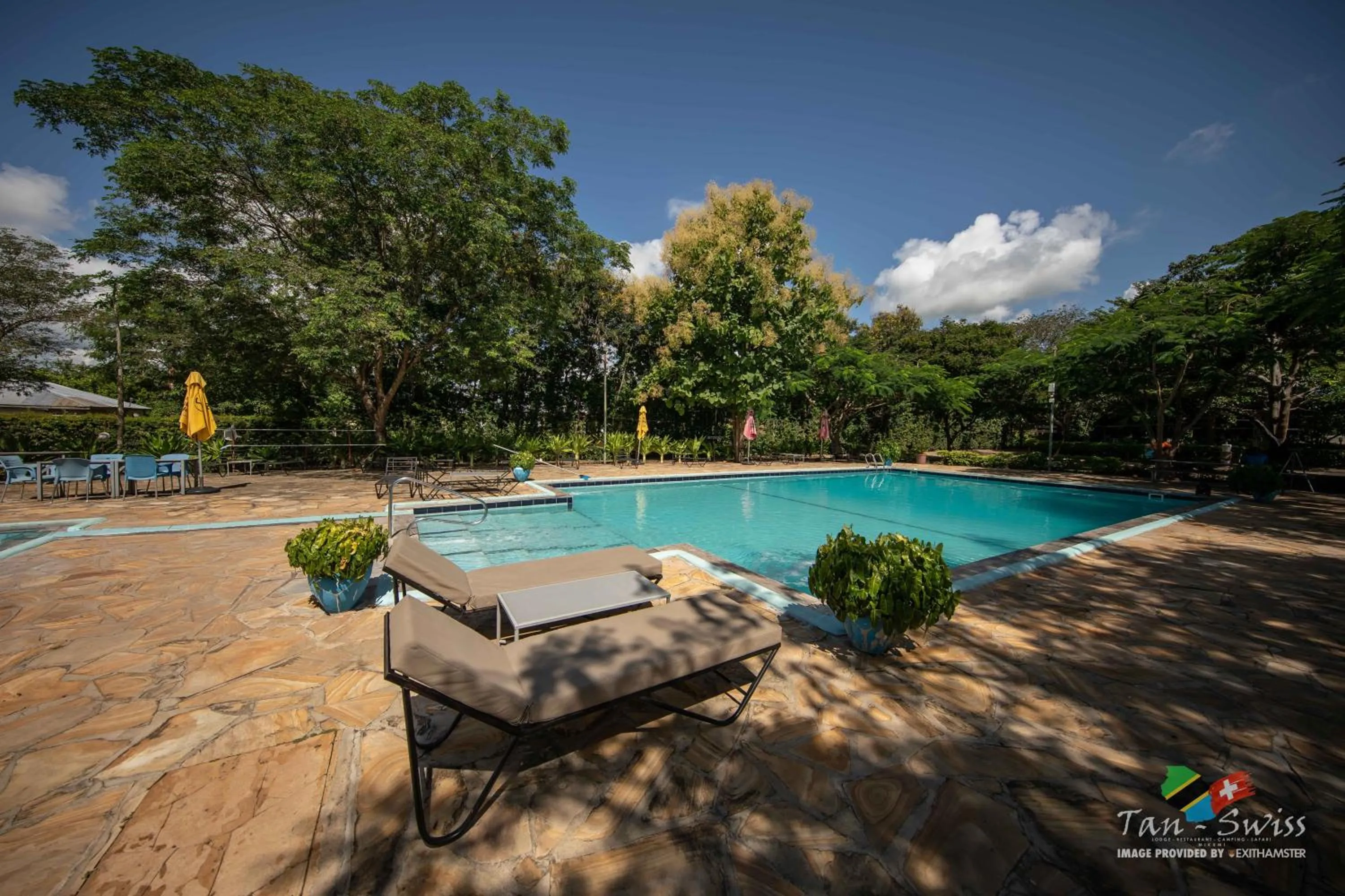 Swimming pool in Tan-Swiss Lodge