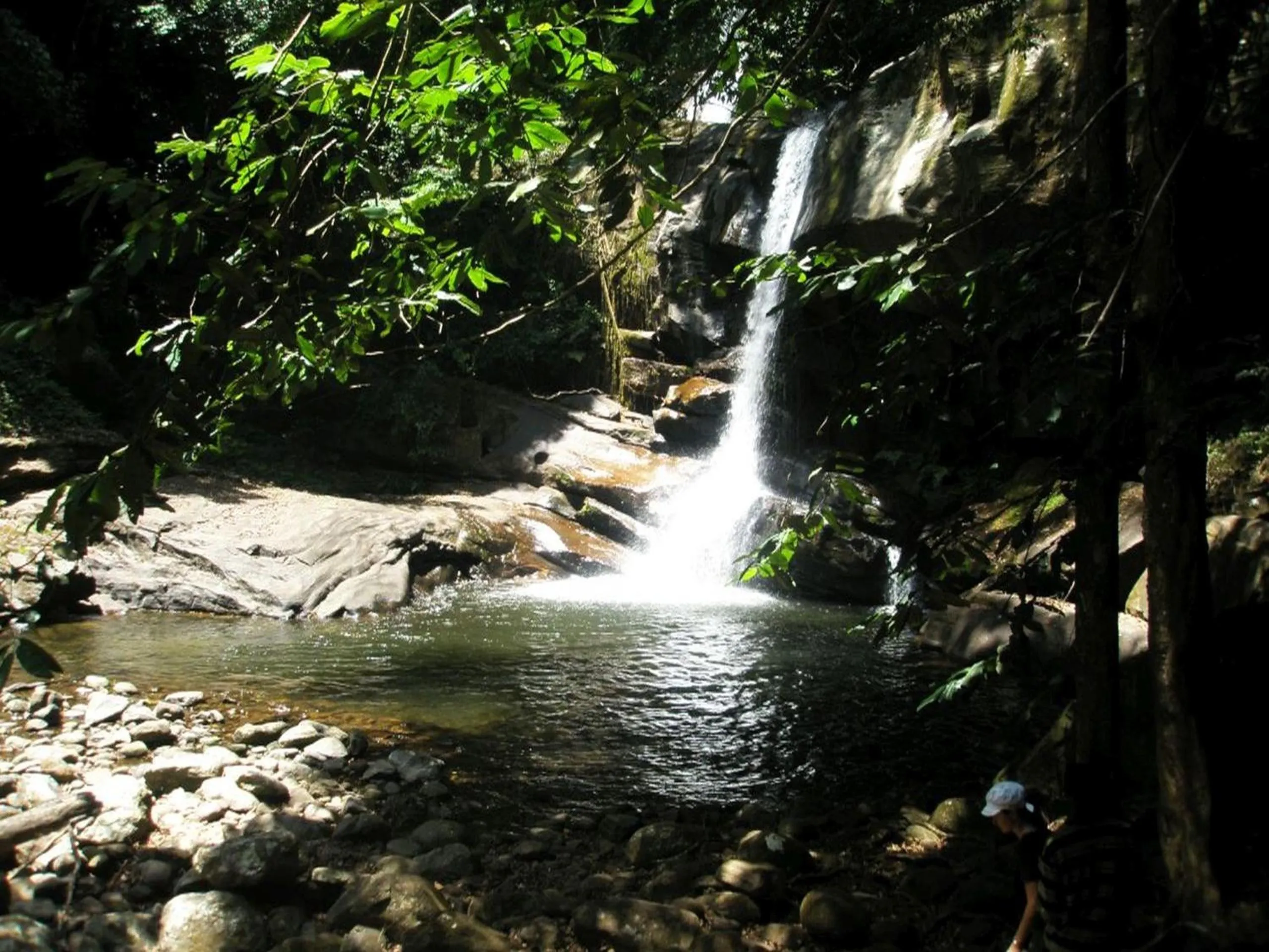 Natural landscape in Tan-Swiss Lodge