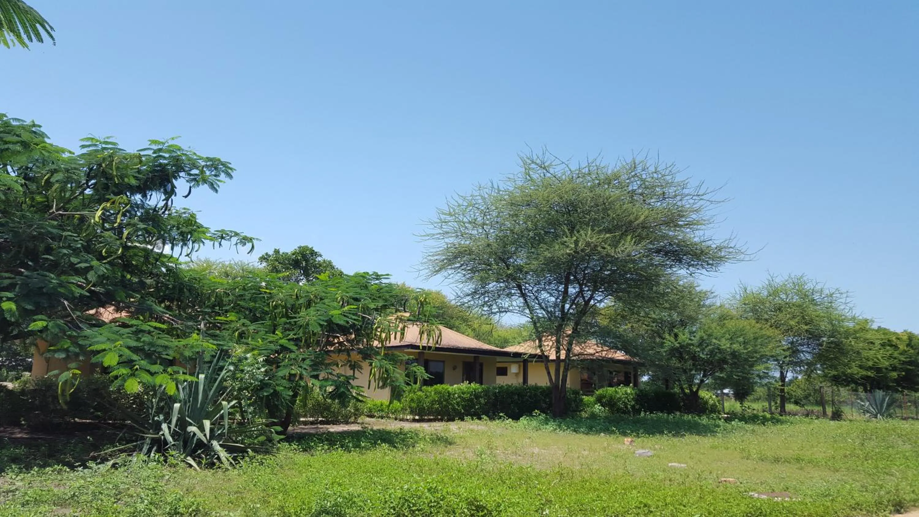 Area and facilities in Tan-Swiss Lodge