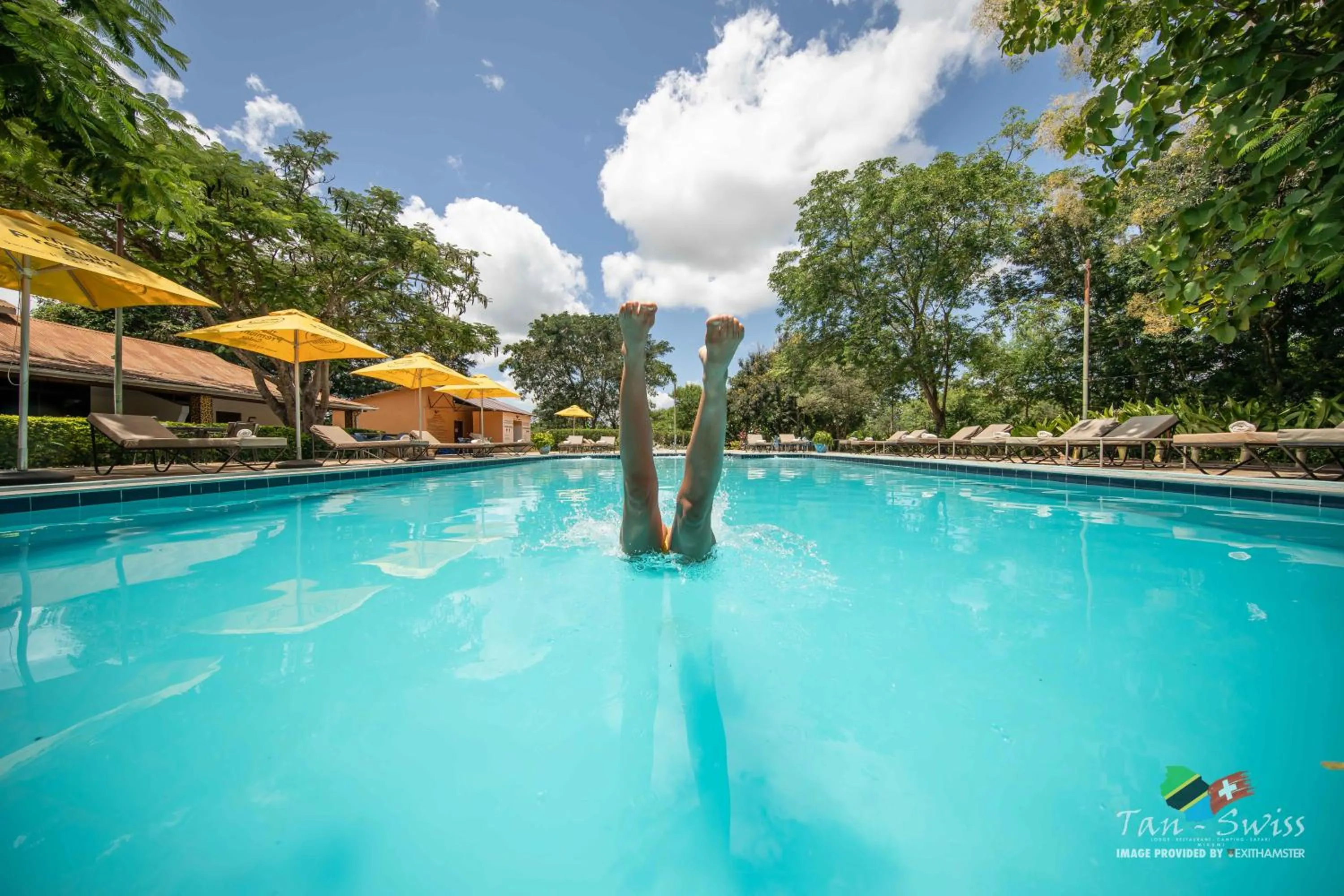 Swimming pool in Tan-Swiss Lodge